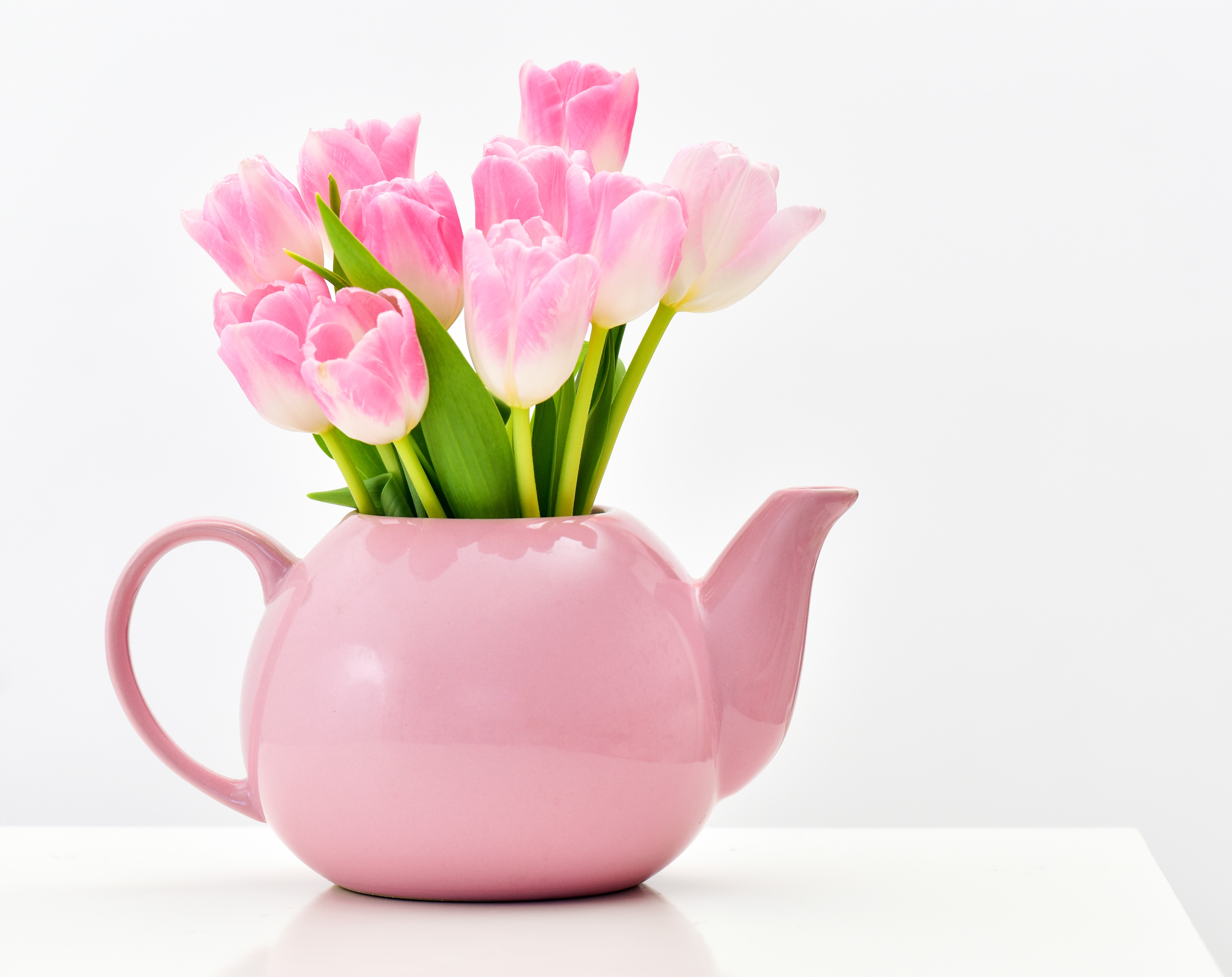 Pink Tulips in a Pink Teapot Vase HD Wallpaper