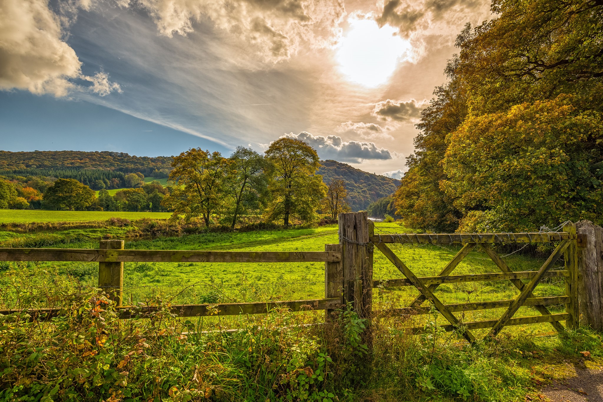 Wooden fence in a green field with trees and clouds HD Wallpaper