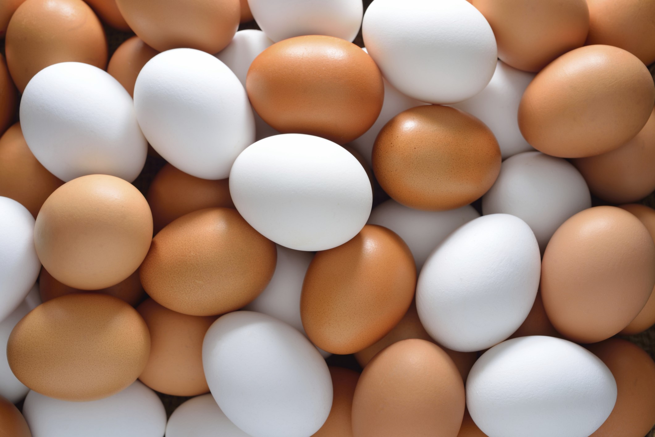 A pile of brown and white eggs HD Wallpaper