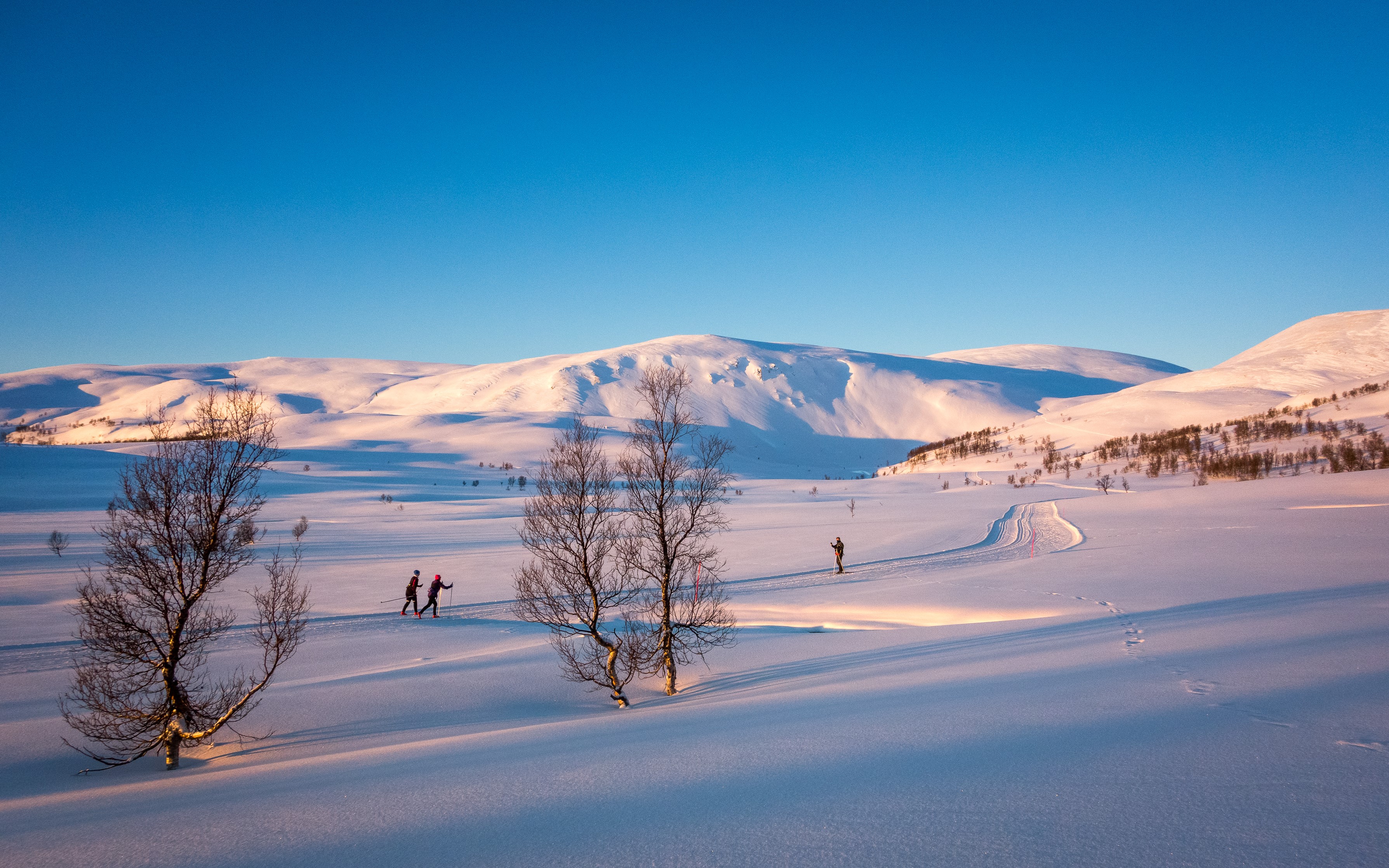 Cross-country skiers in a snowy Norwegian landscape HD Wallpaper