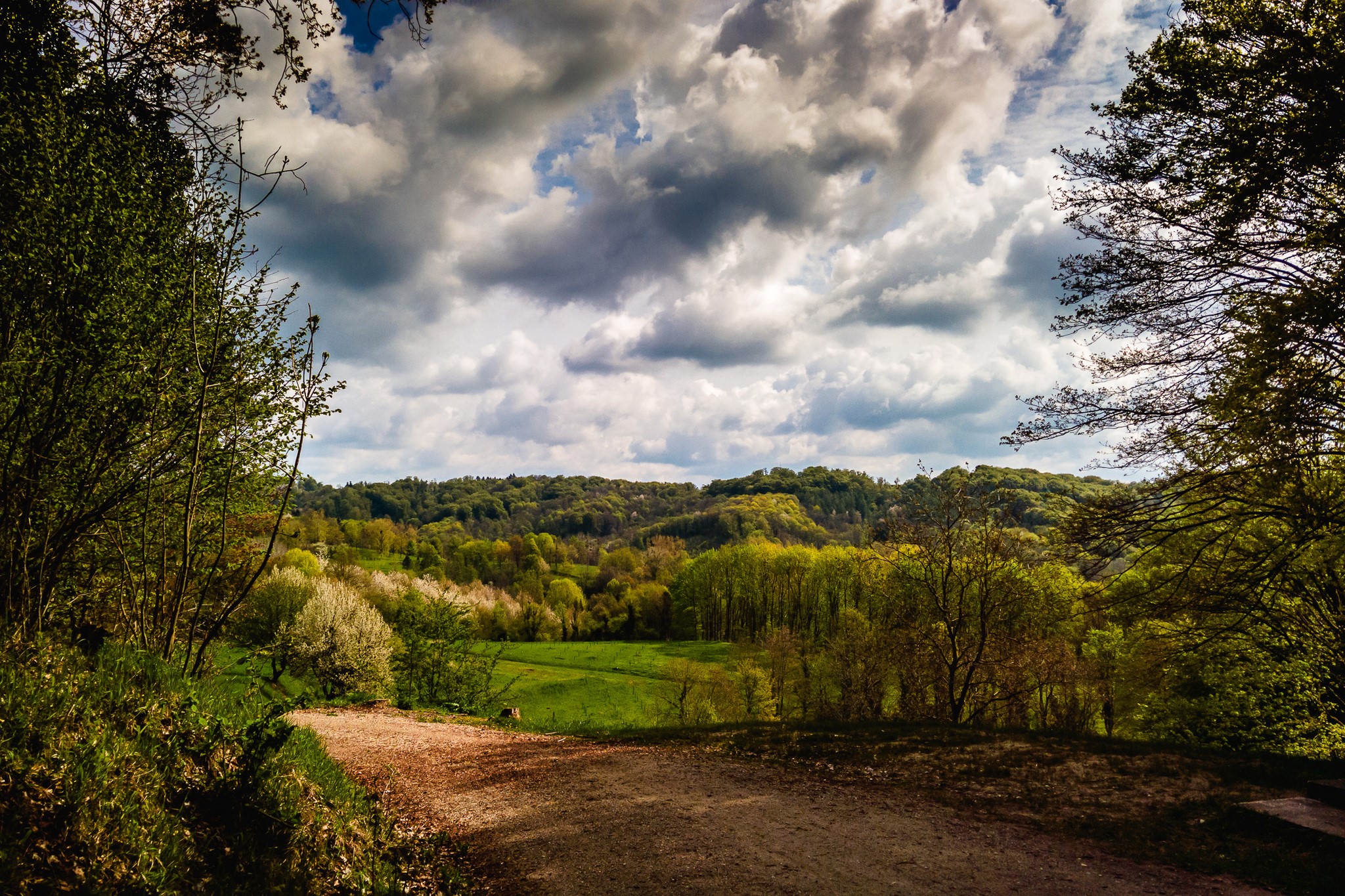 Kaiserstuhl hills Germany with forests and clouds HD Wallpaper