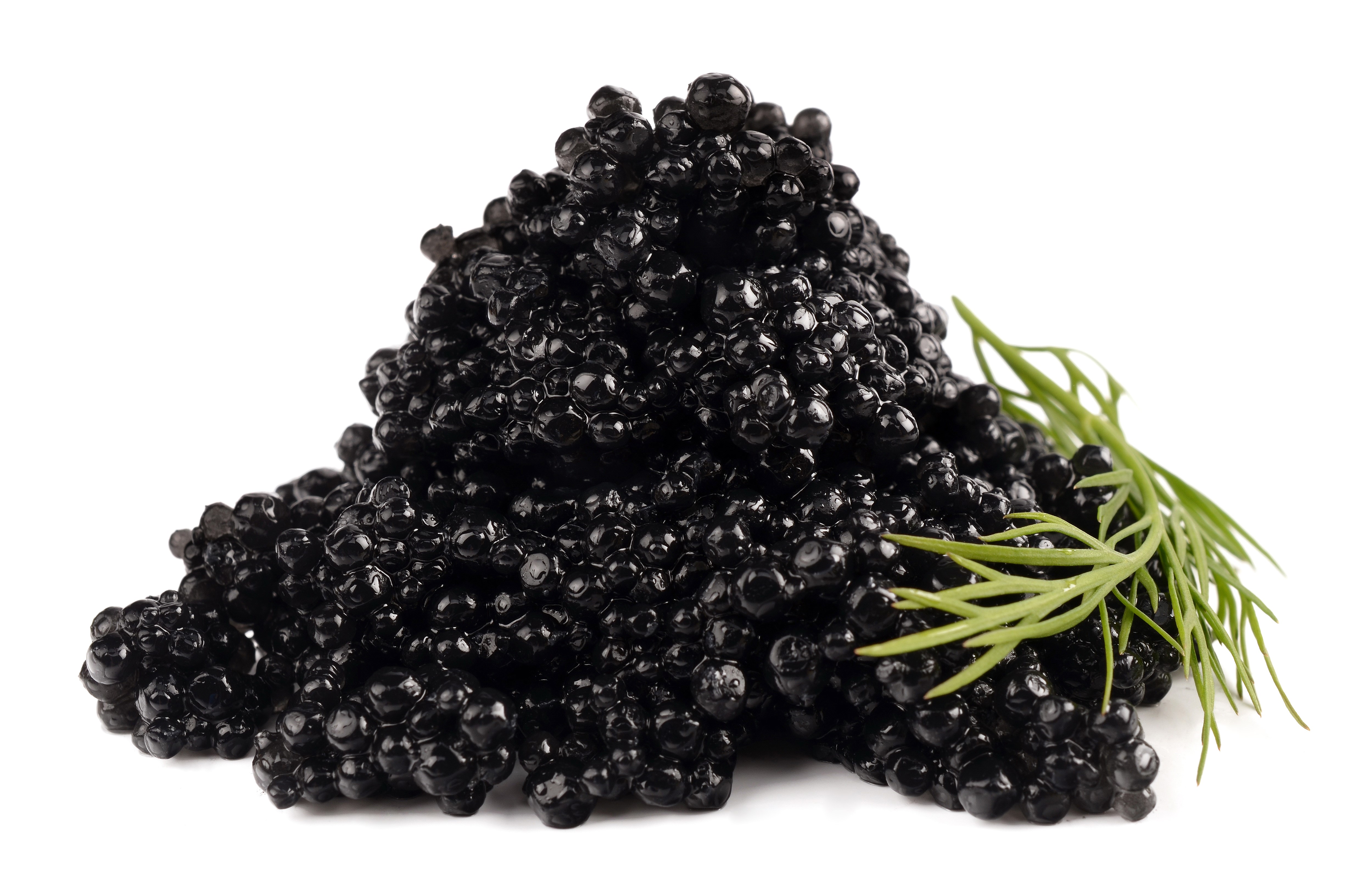Black Caviar with Dill HD Wallpaper