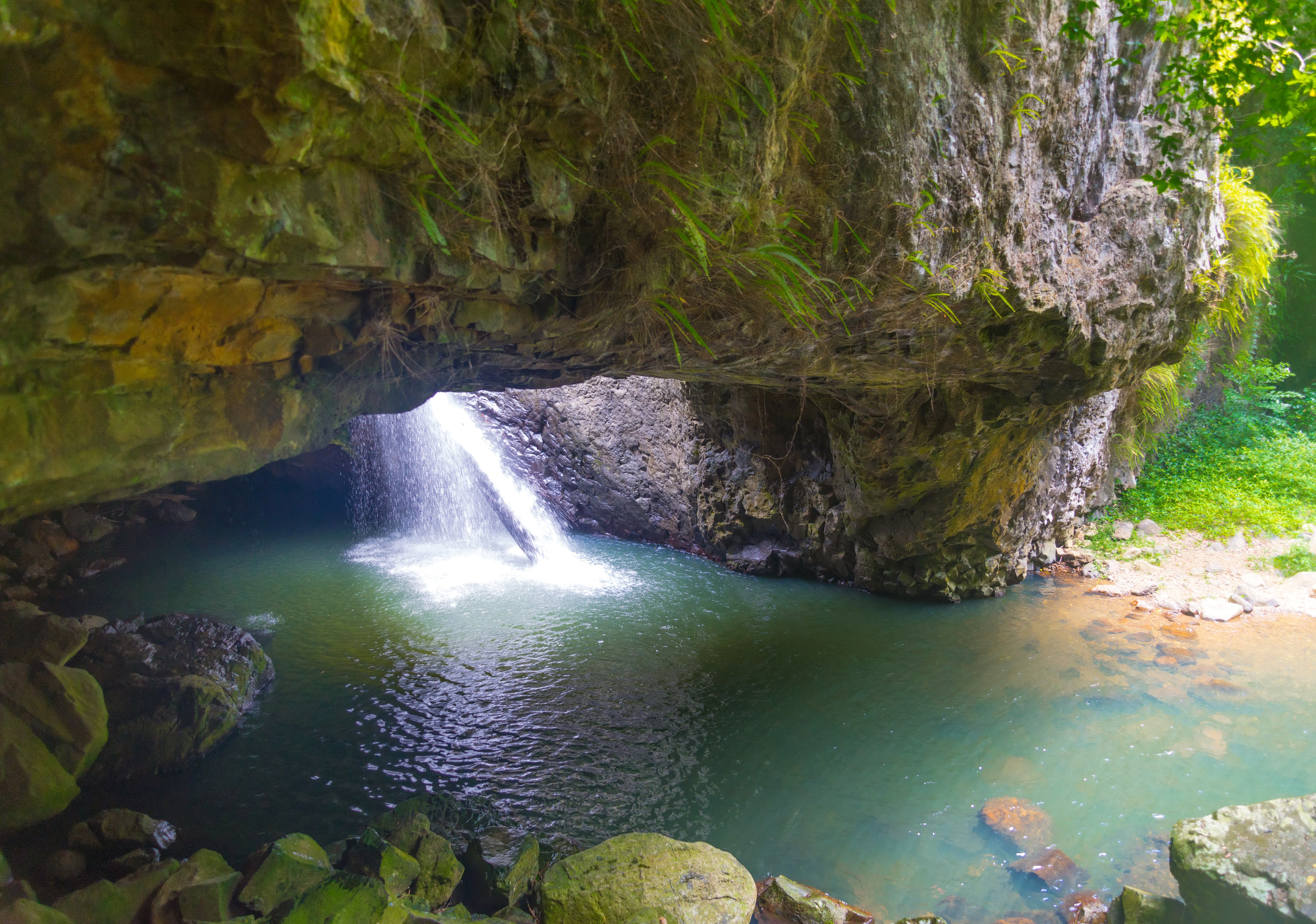 Waterfall cascading into a pool under a rock overhang HD Wallpaper