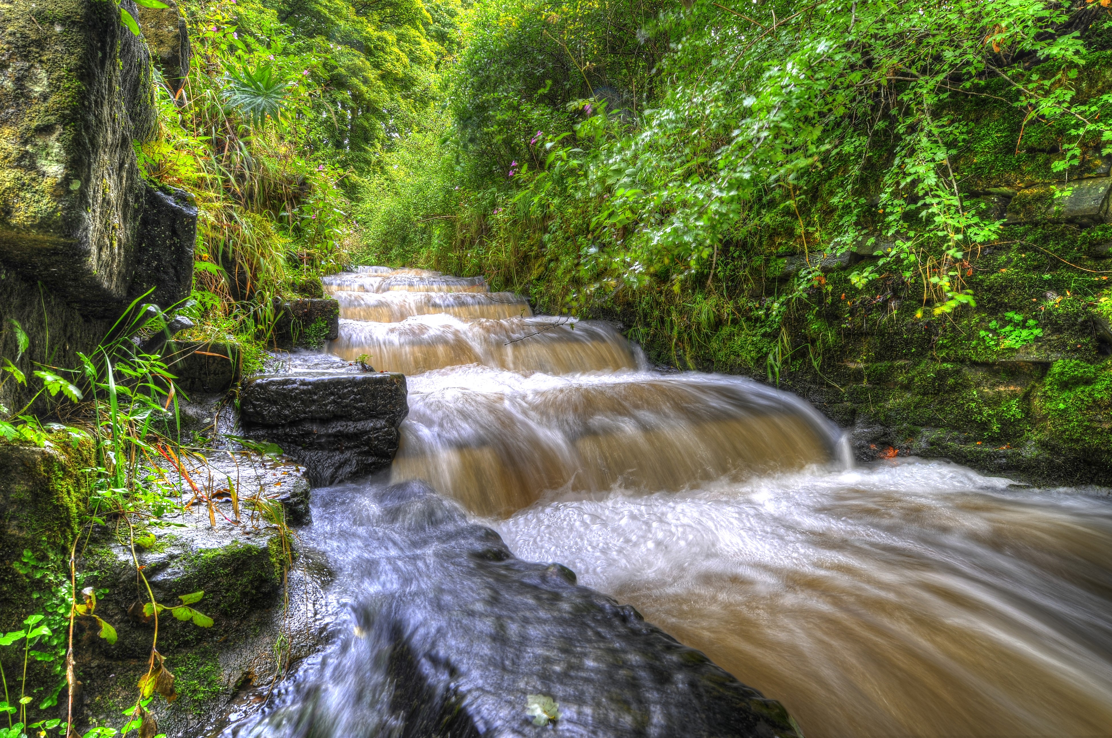 Water cascading over stone steps in Yarrow Valley Park, England HD Wallpaper