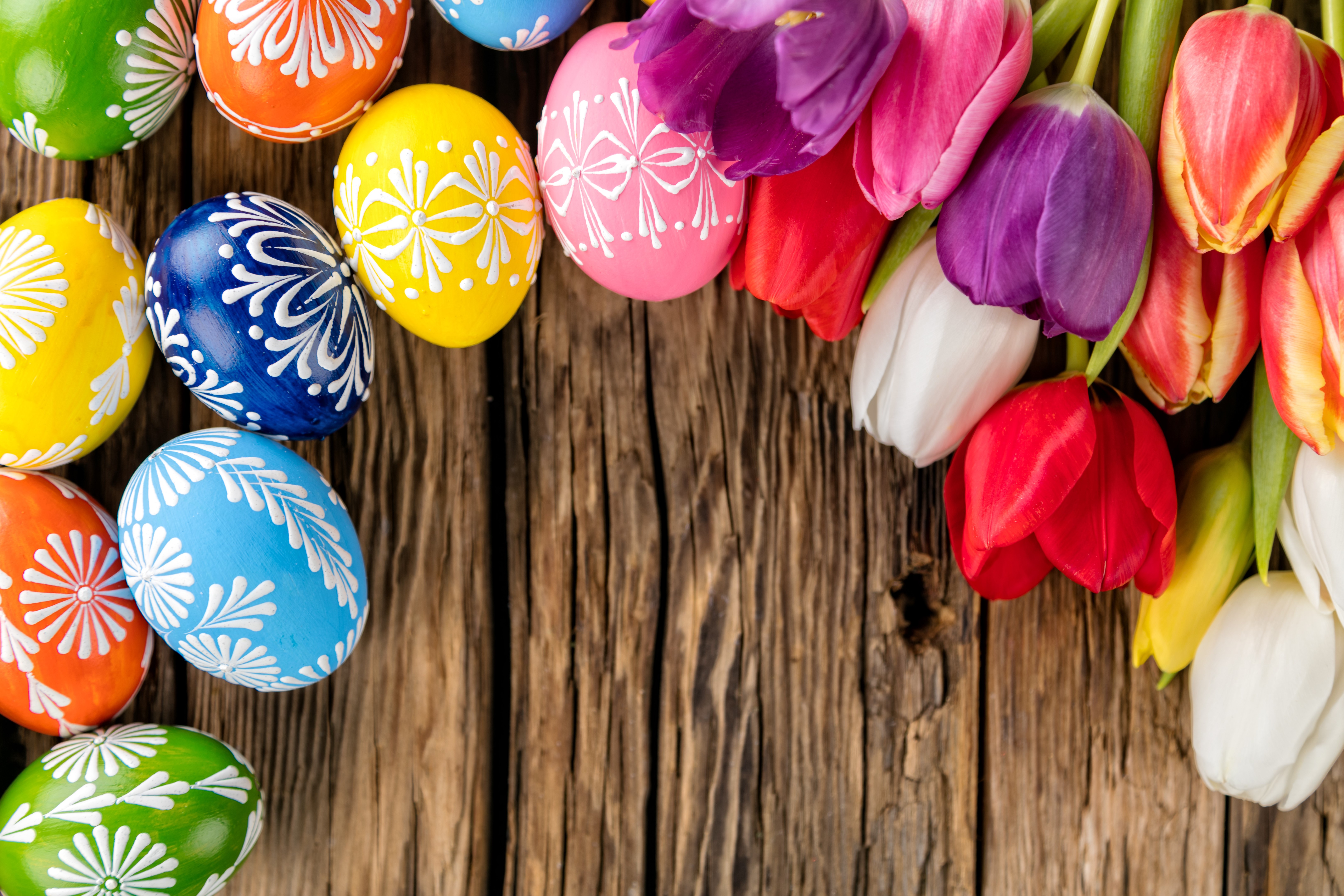 Easter Eggs and Tulips on Wooden Background HD Wallpaper