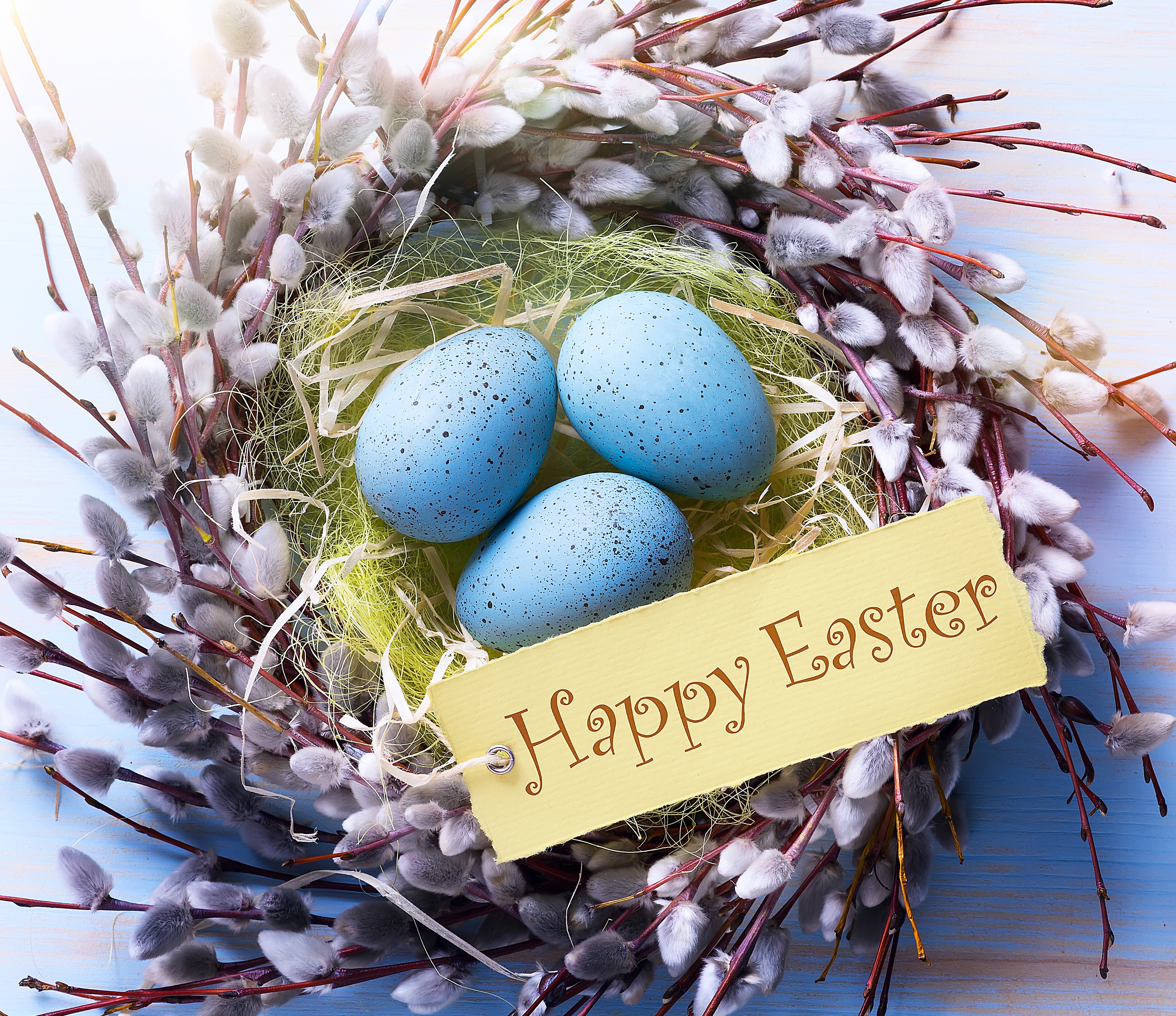 Easter eggs in a nest with pussy willow branches HD Wallpaper