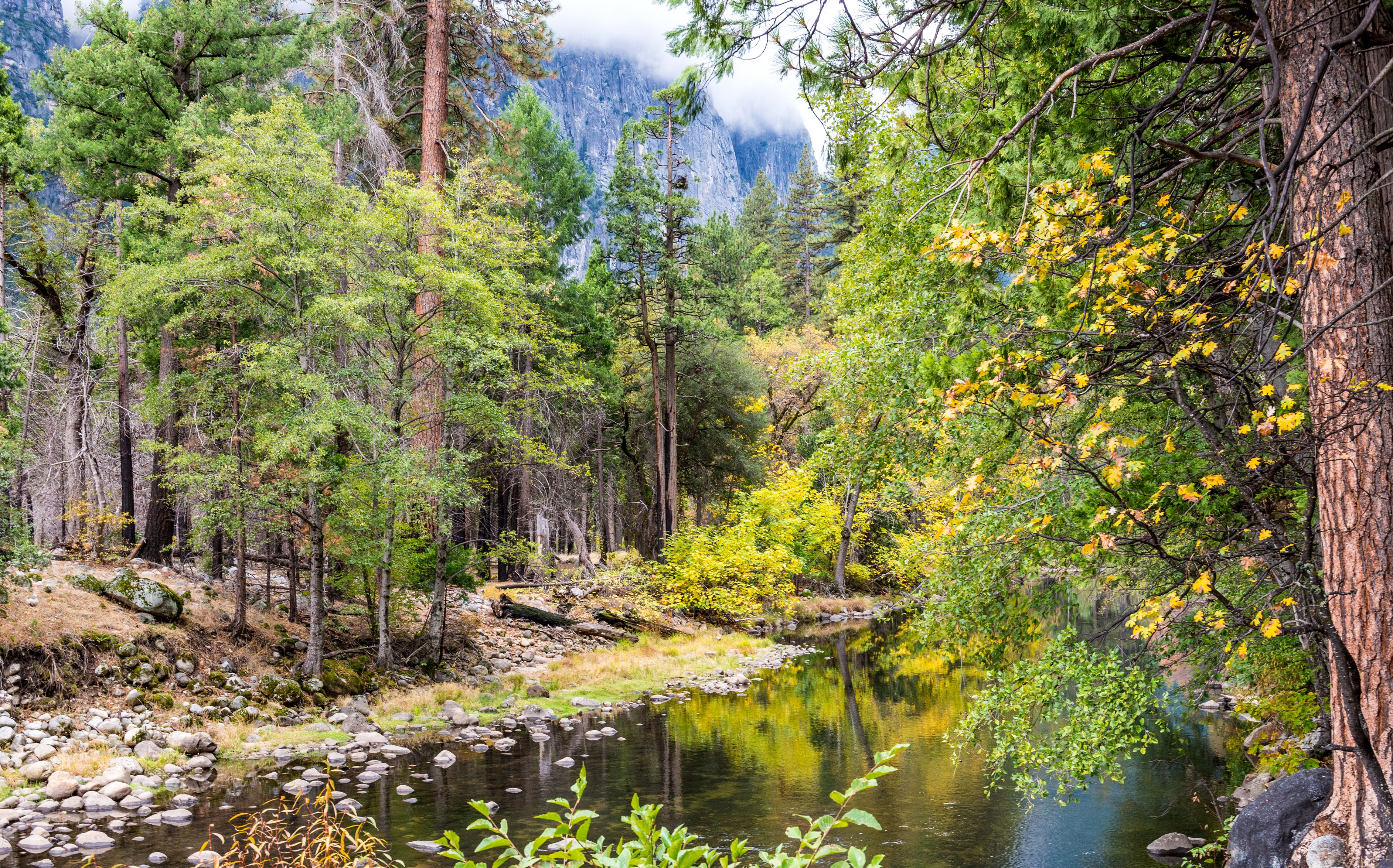 River flowing through Yosemite National Park in California HD Wallpaper