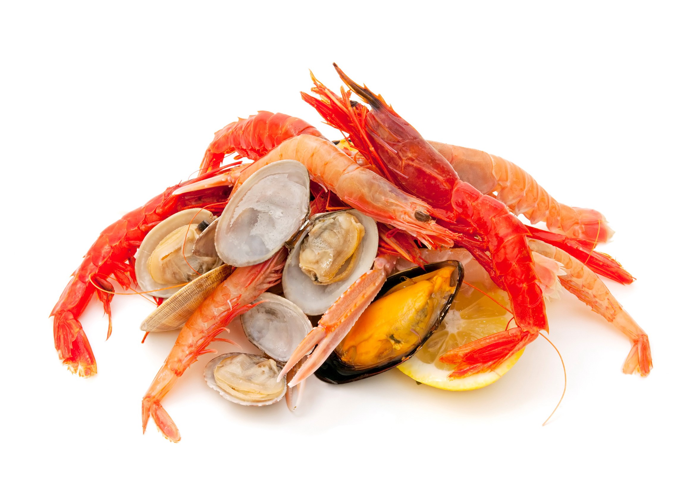 Pile of fresh seafood with shrimp, clams, mussels, and lemon HD Wallpaper