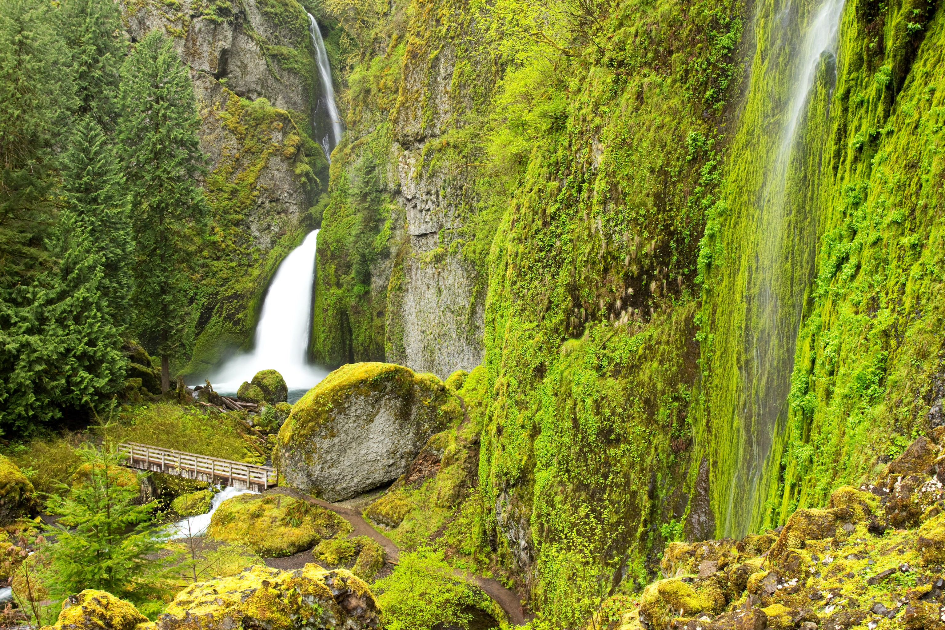 Wahclella Falls, Columbia River, Oregon, USA HD Wallpaper