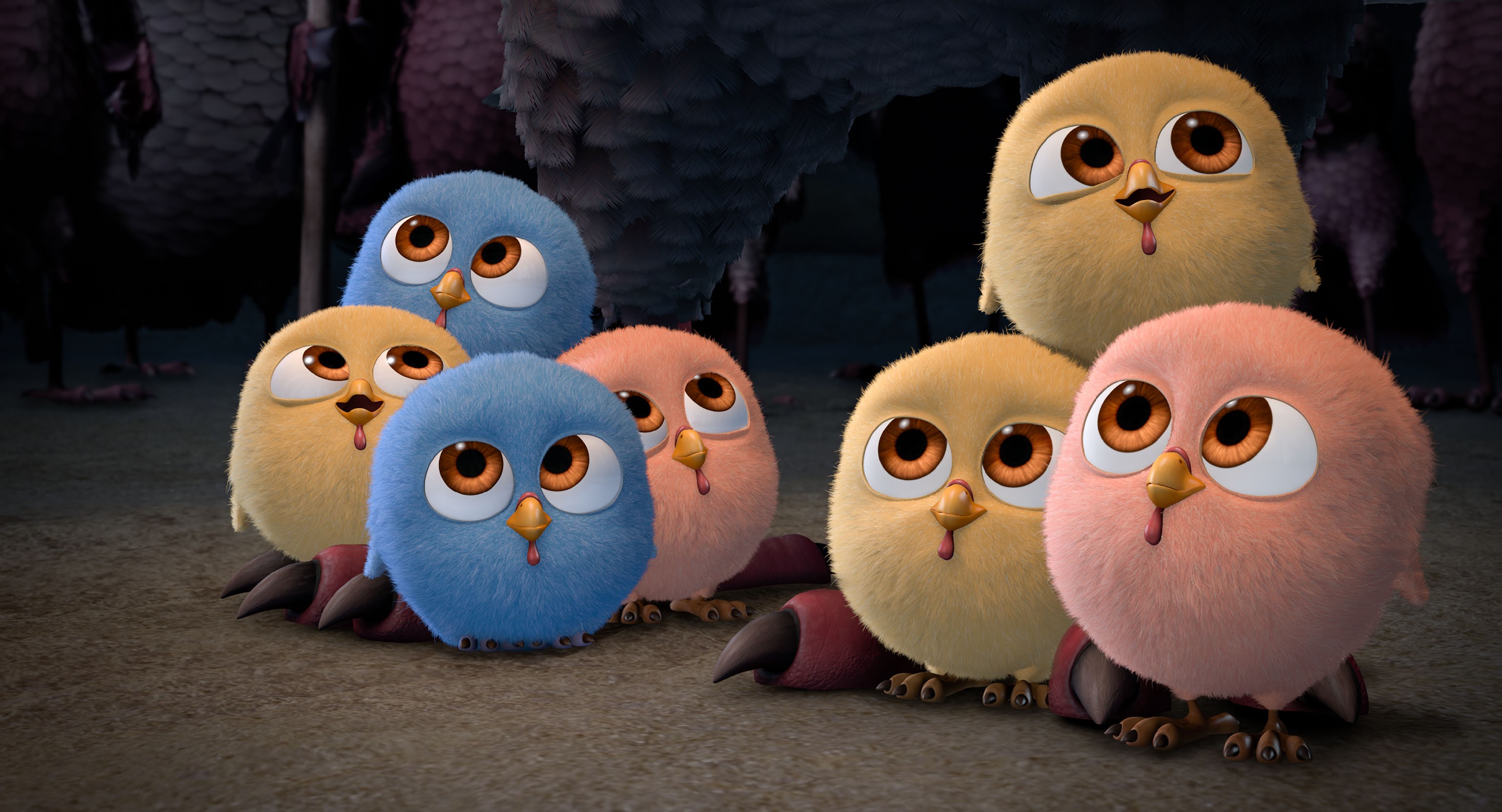 Free Birds chicks HD Wallpaper