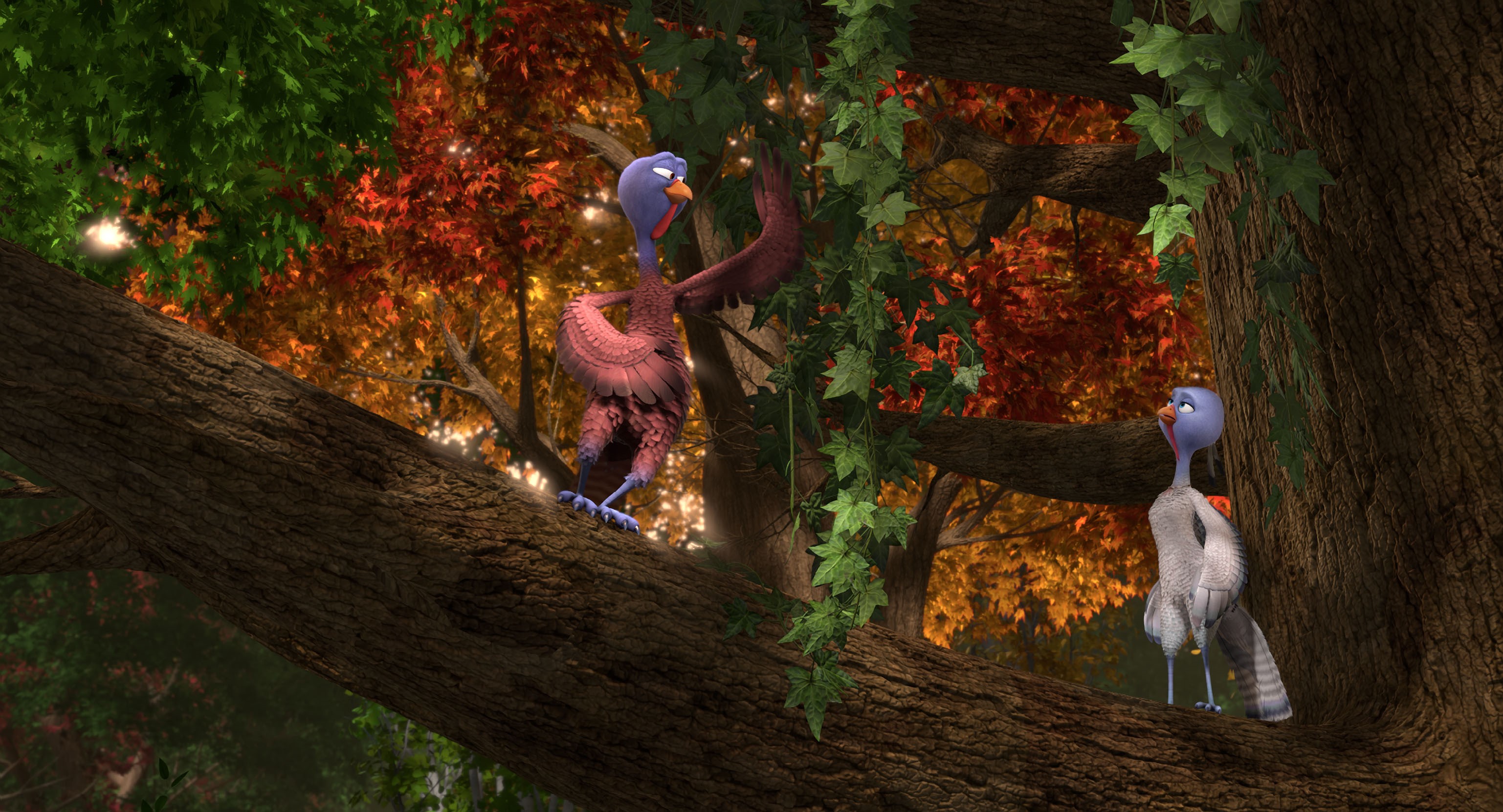 Free Birds turkeys in a tree HD Wallpaper