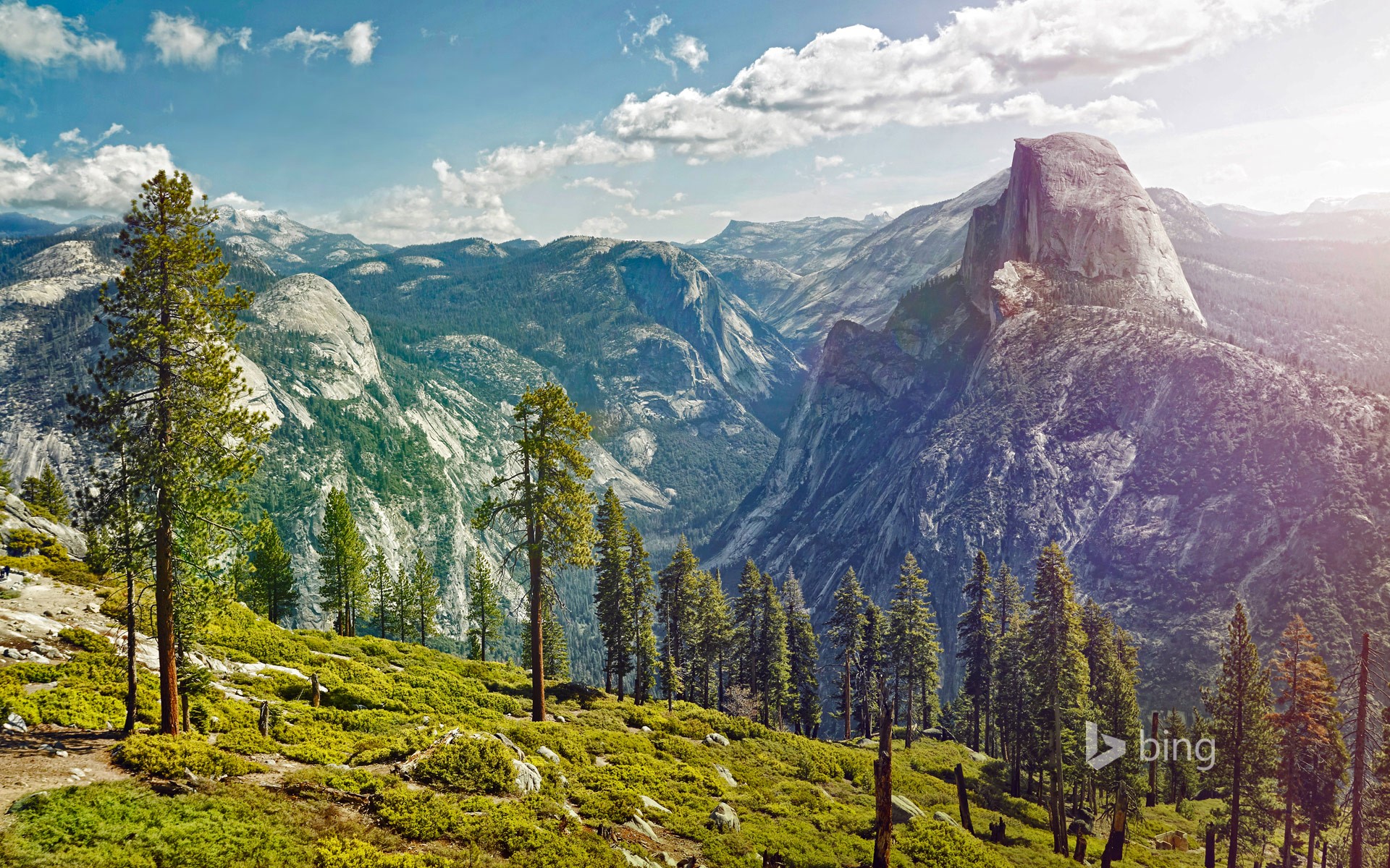 Yosemite National Park Mountains and Trees HD Wallpaper