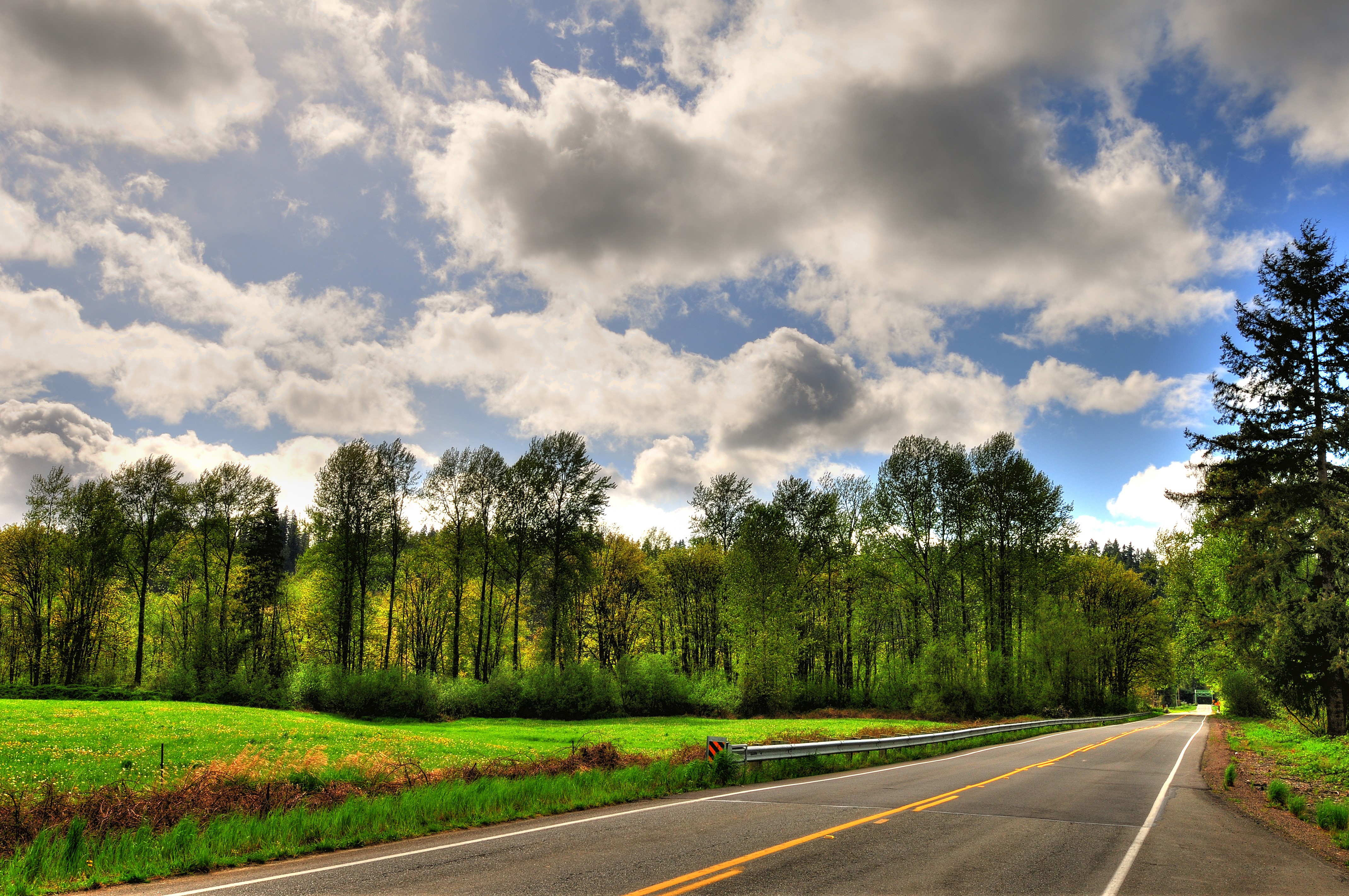 Road through a forest with clouds HD Wallpaper