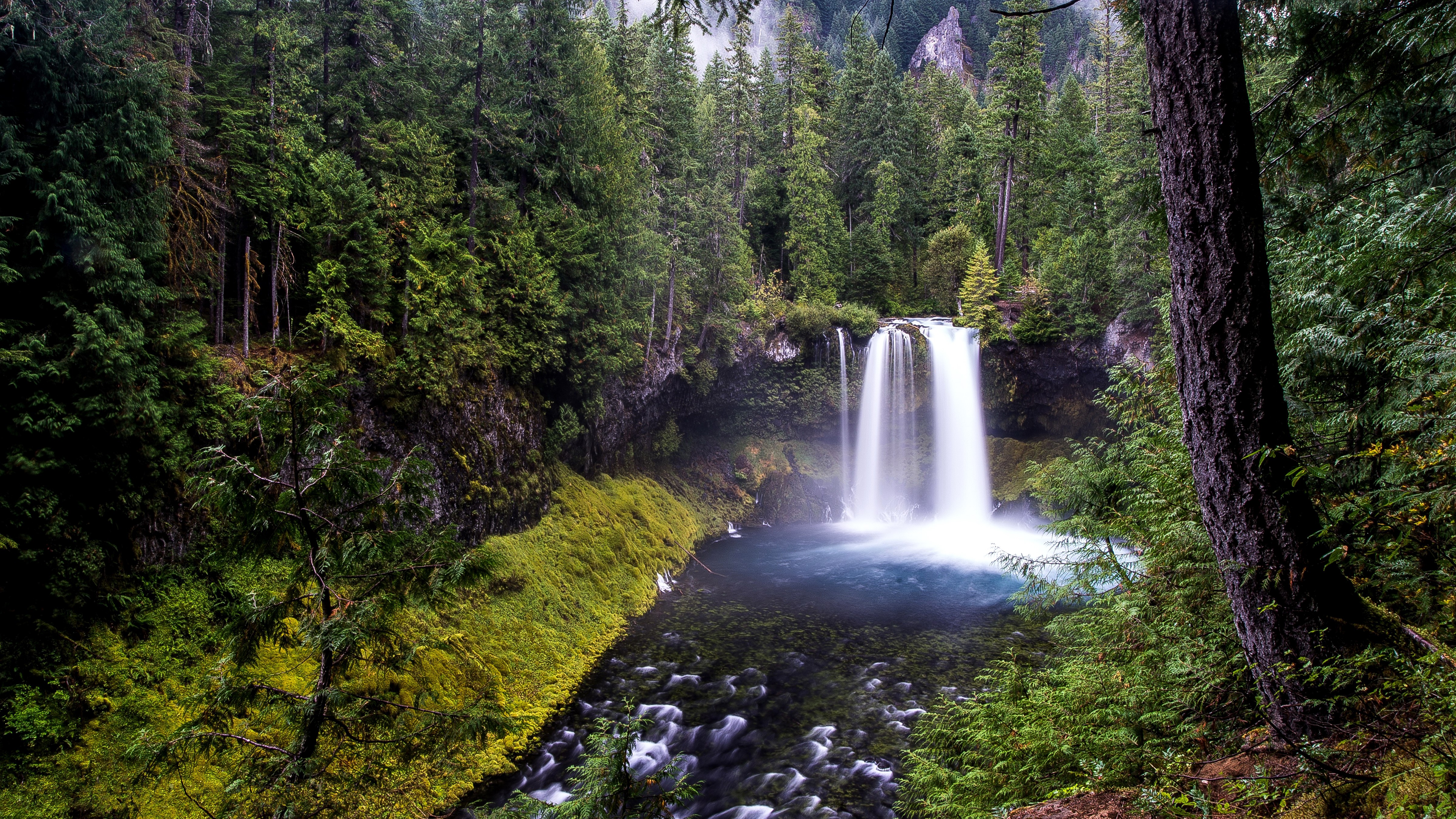 Waterfall in a dense forest HD Wallpaper