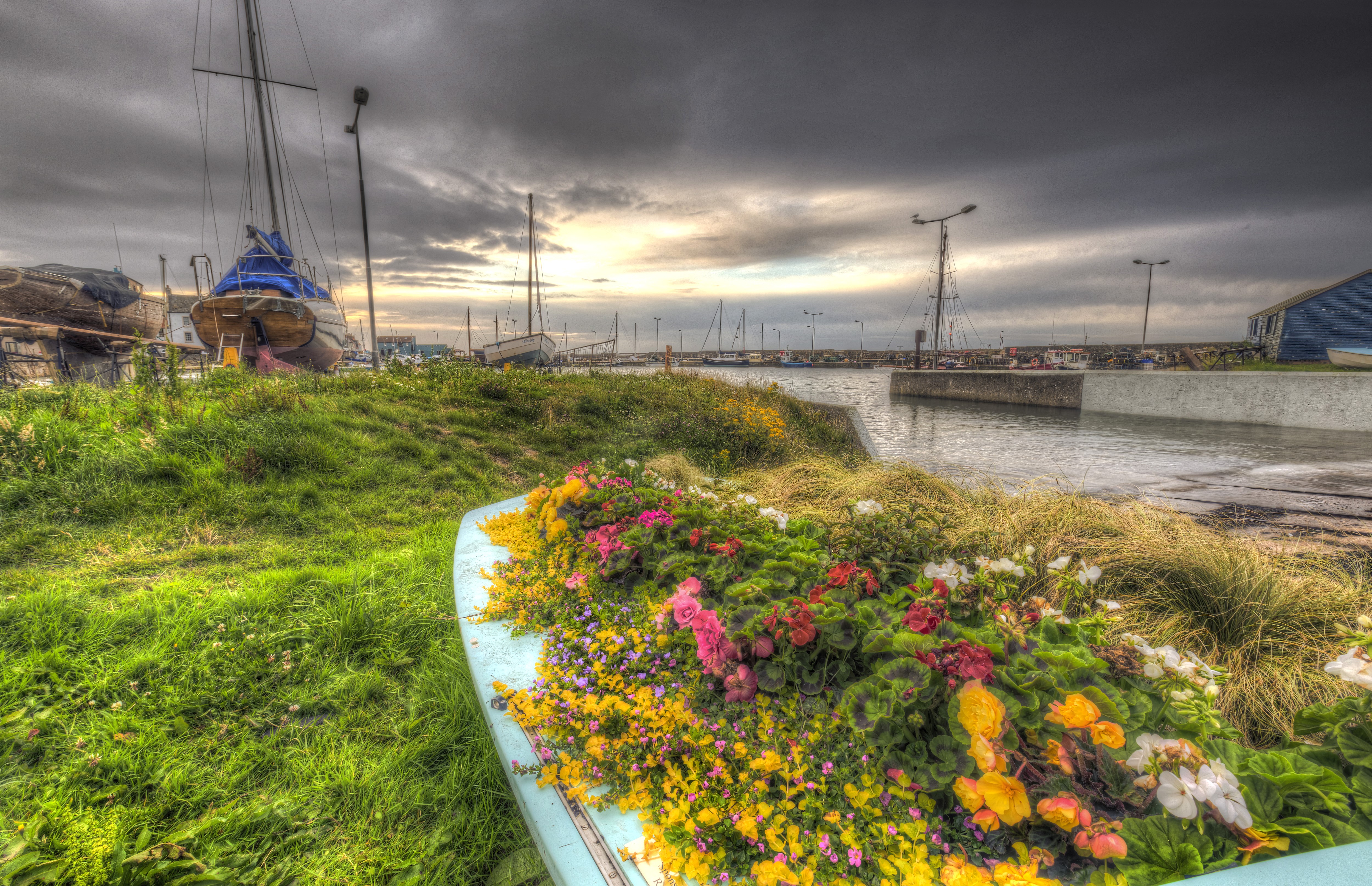 Monans Harbour Scotland with boats and flowers HD Wallpaper