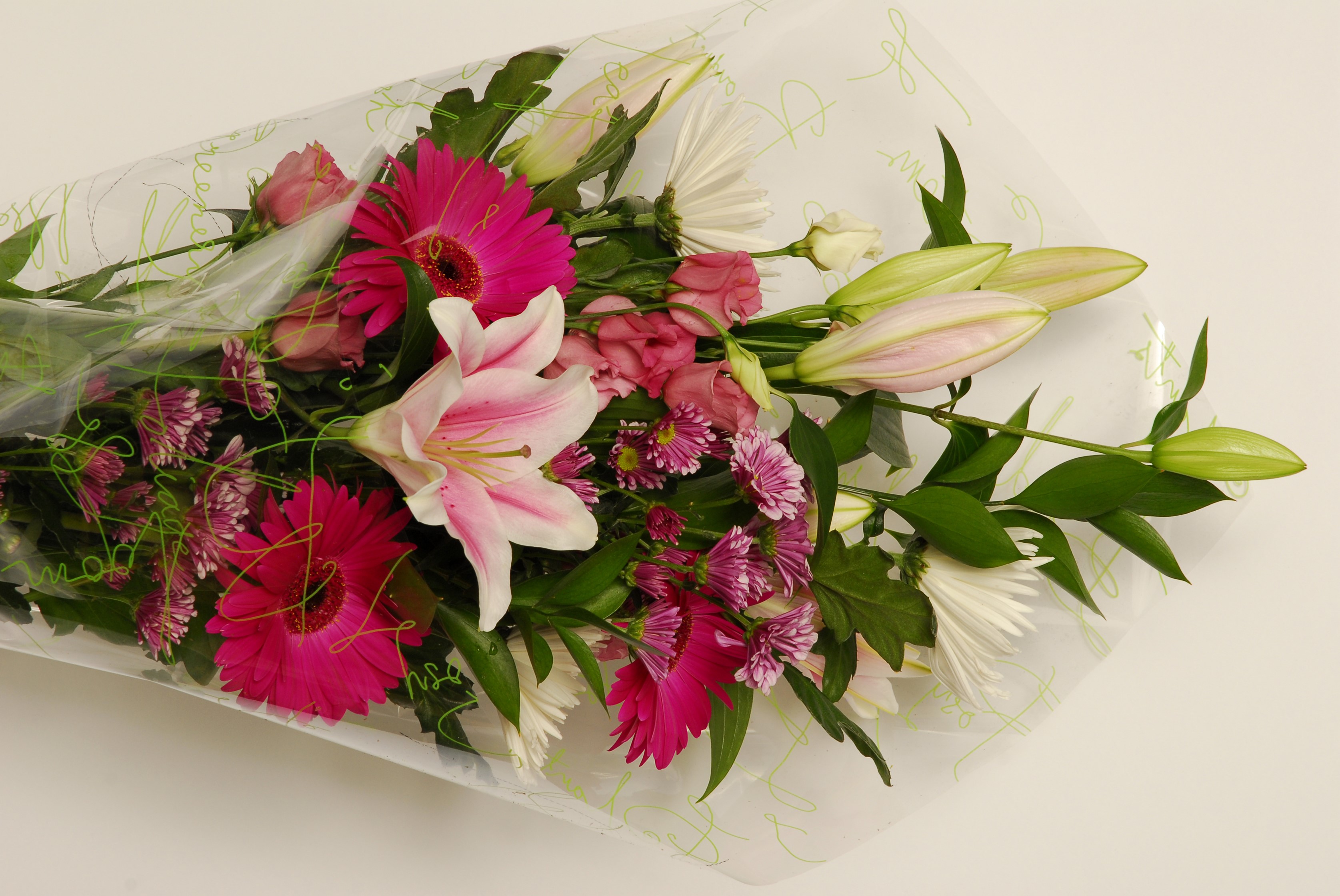 Bouquet of Gerbera, Chrysanthemums, and Lilies HD Wallpaper