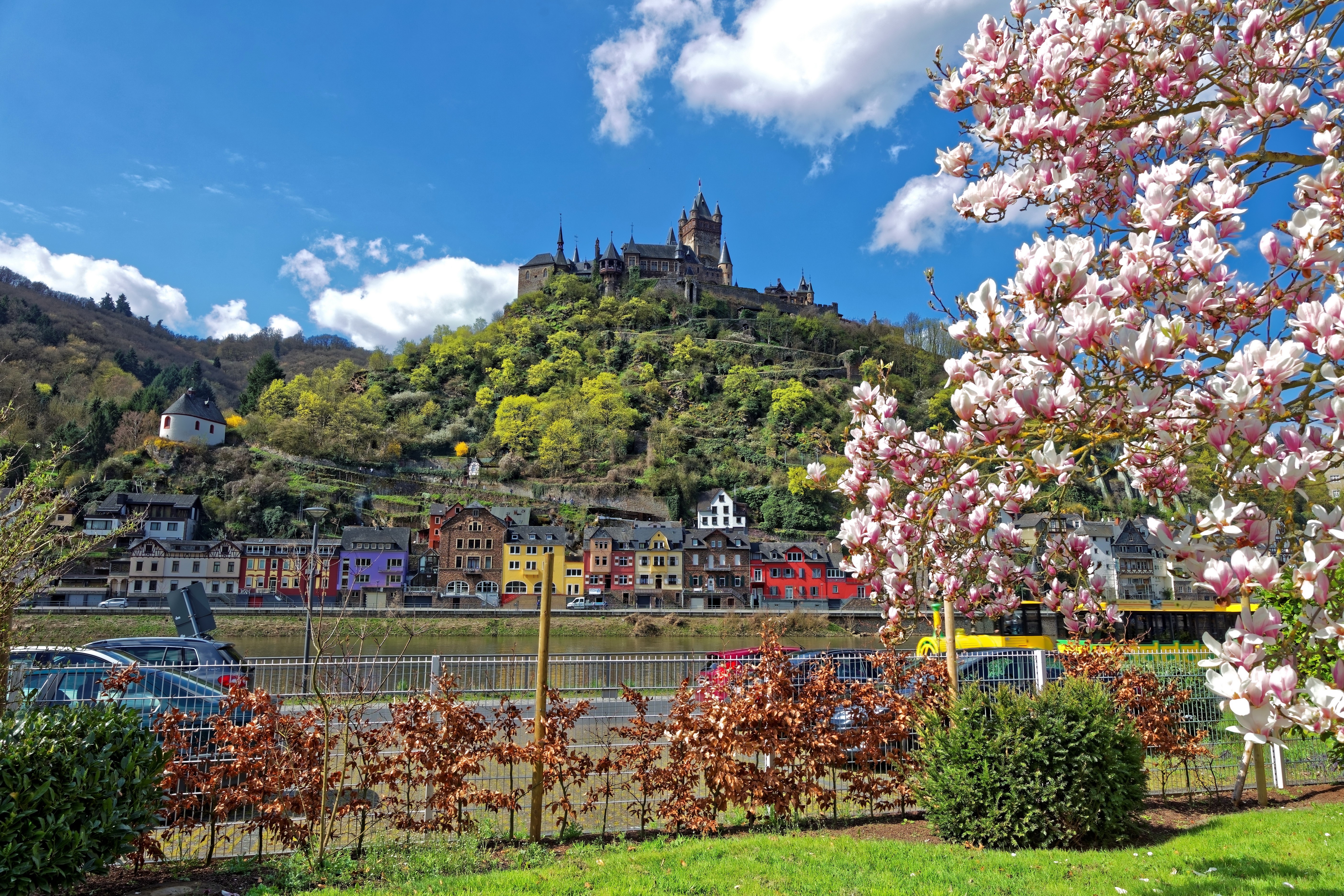 Cochem Castle and flowering trees in Germany HD Wallpaper