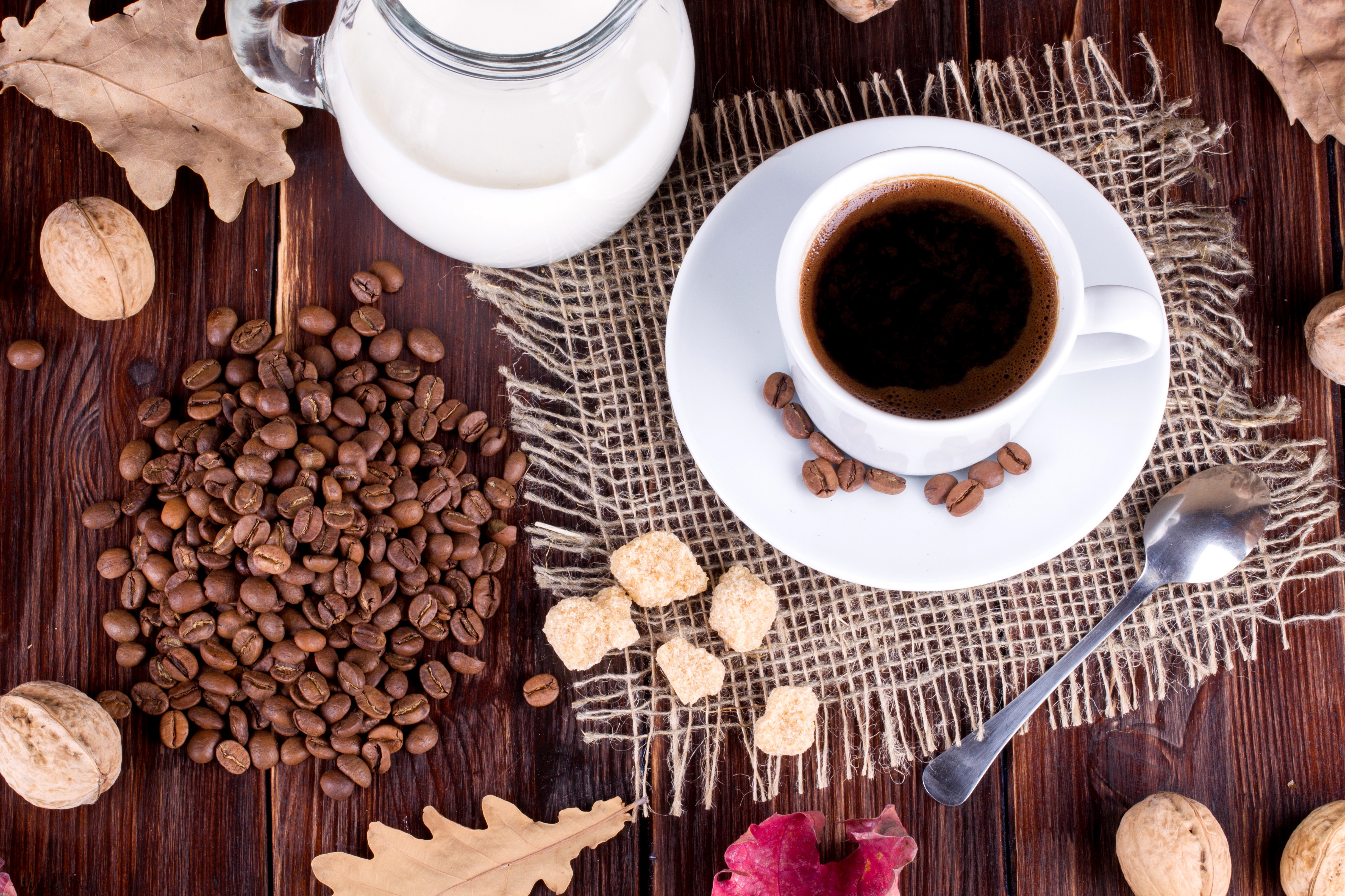 Coffee beans, cup of coffee, milk, walnuts, and autumn leaves HD Wallpaper