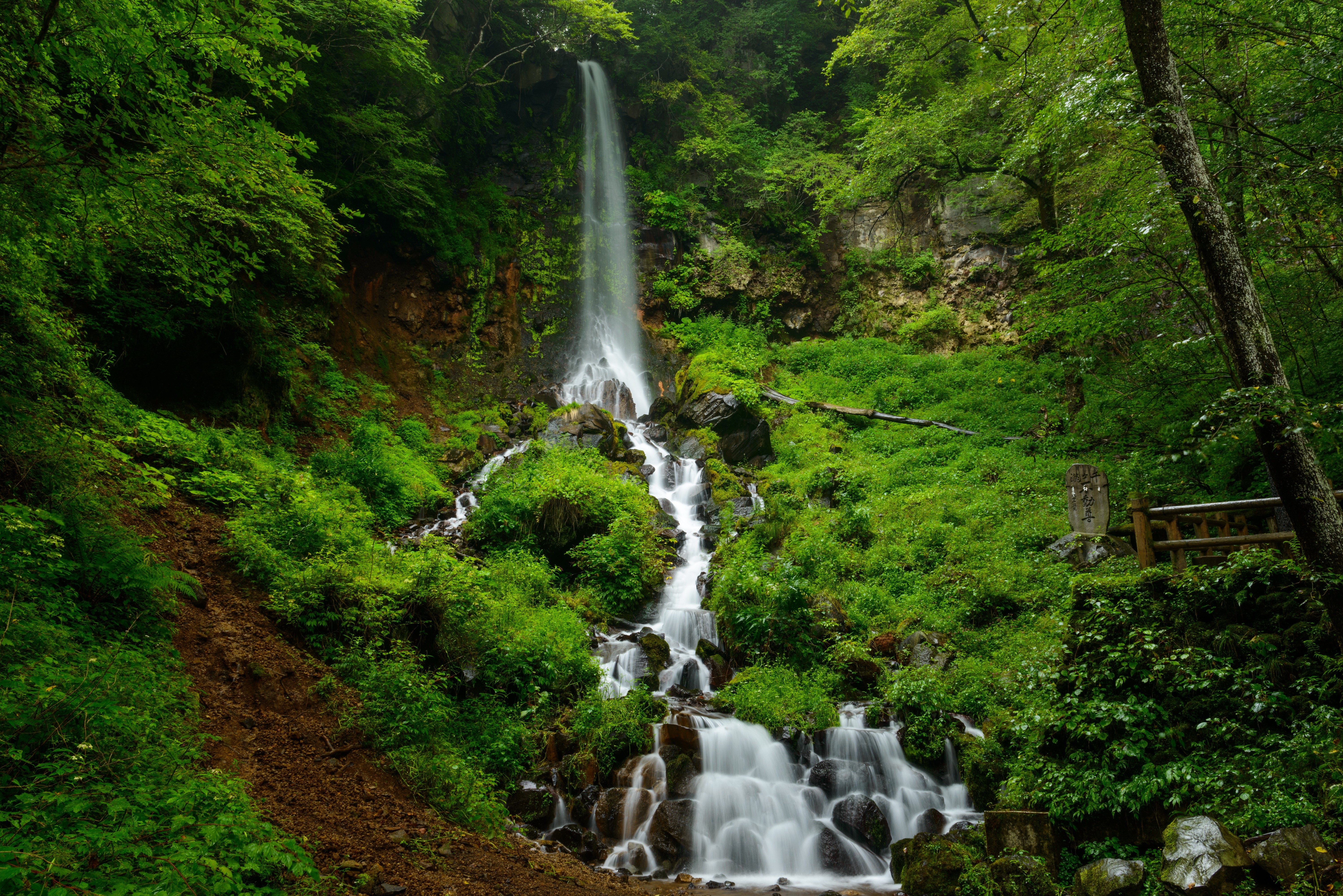 Waterfall cascading through a lush green forest HD Wallpaper