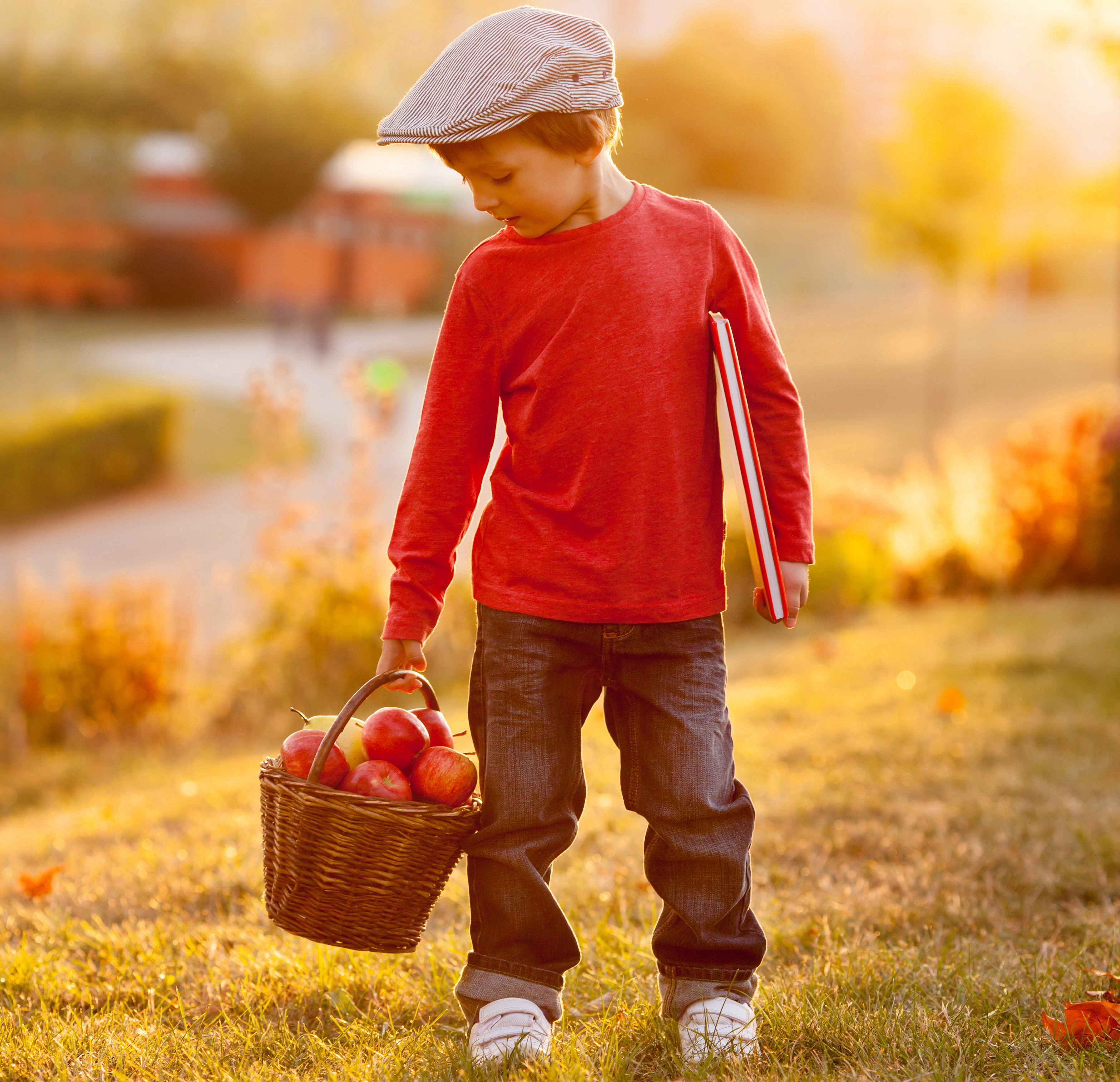Boy in a cap holding a basket of apples HD Wallpaper