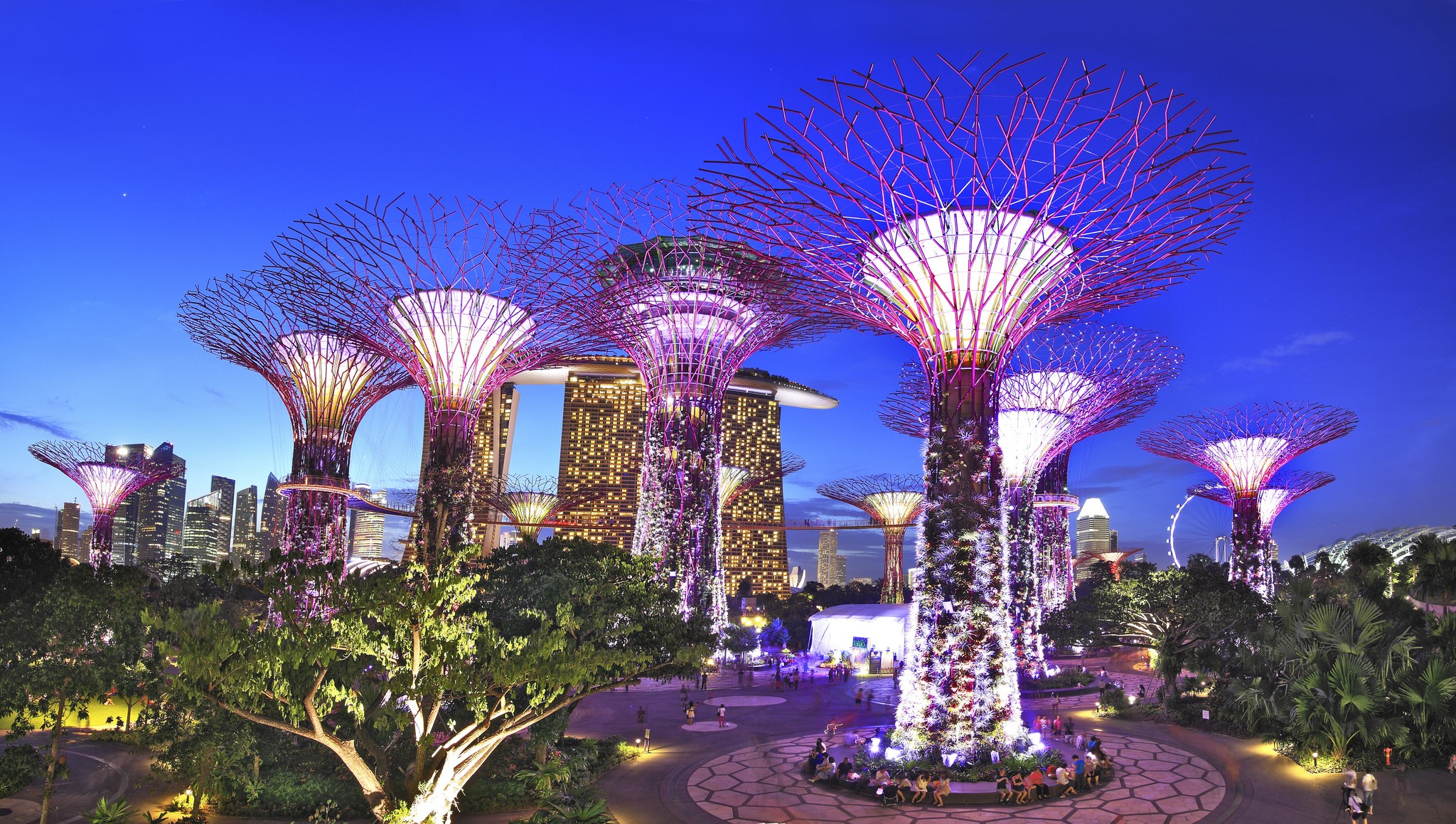  803933 Gardens By The Bay Singapore Evening Parks Rare Gallery HD 