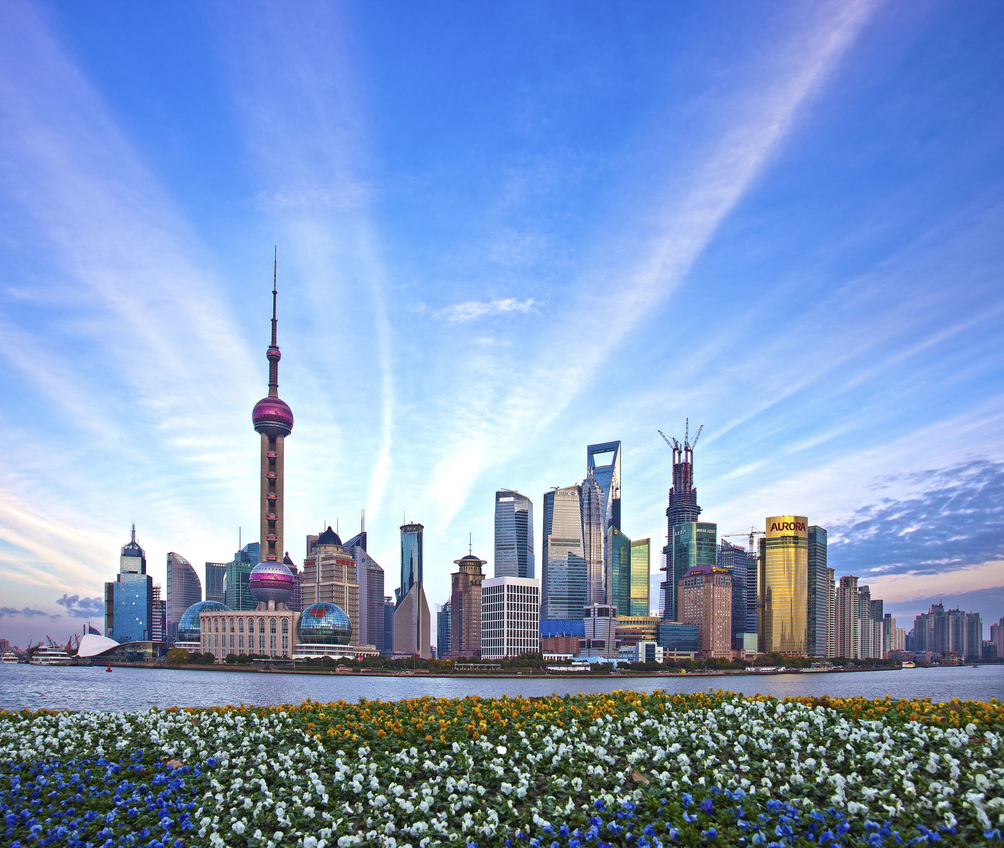 Shanghai skyline with Oriental Pearl Tower and flowers HD Wallpaper