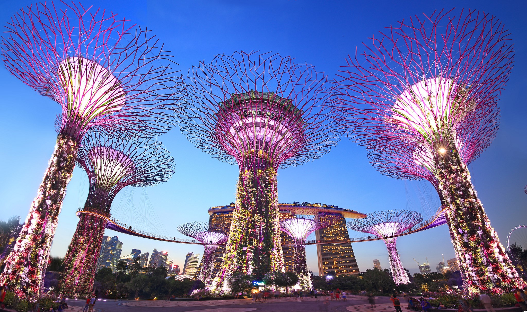 Gardens by the Bay, Singapore at dusk HD Wallpaper