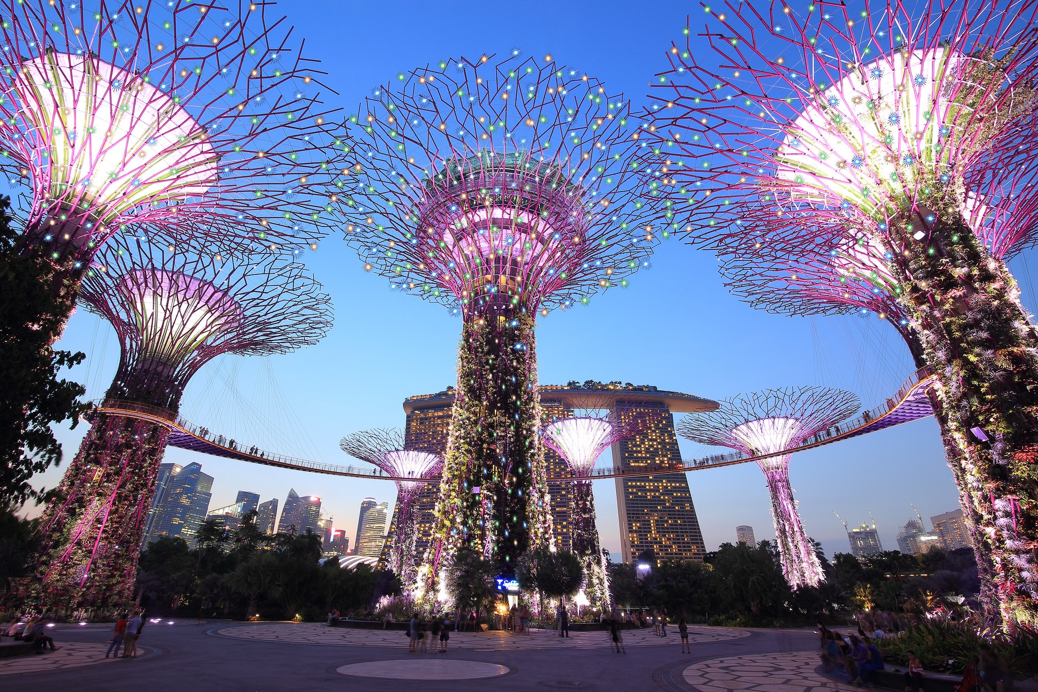 Gardens by the Bay, Singapore at Dusk HD Wallpaper