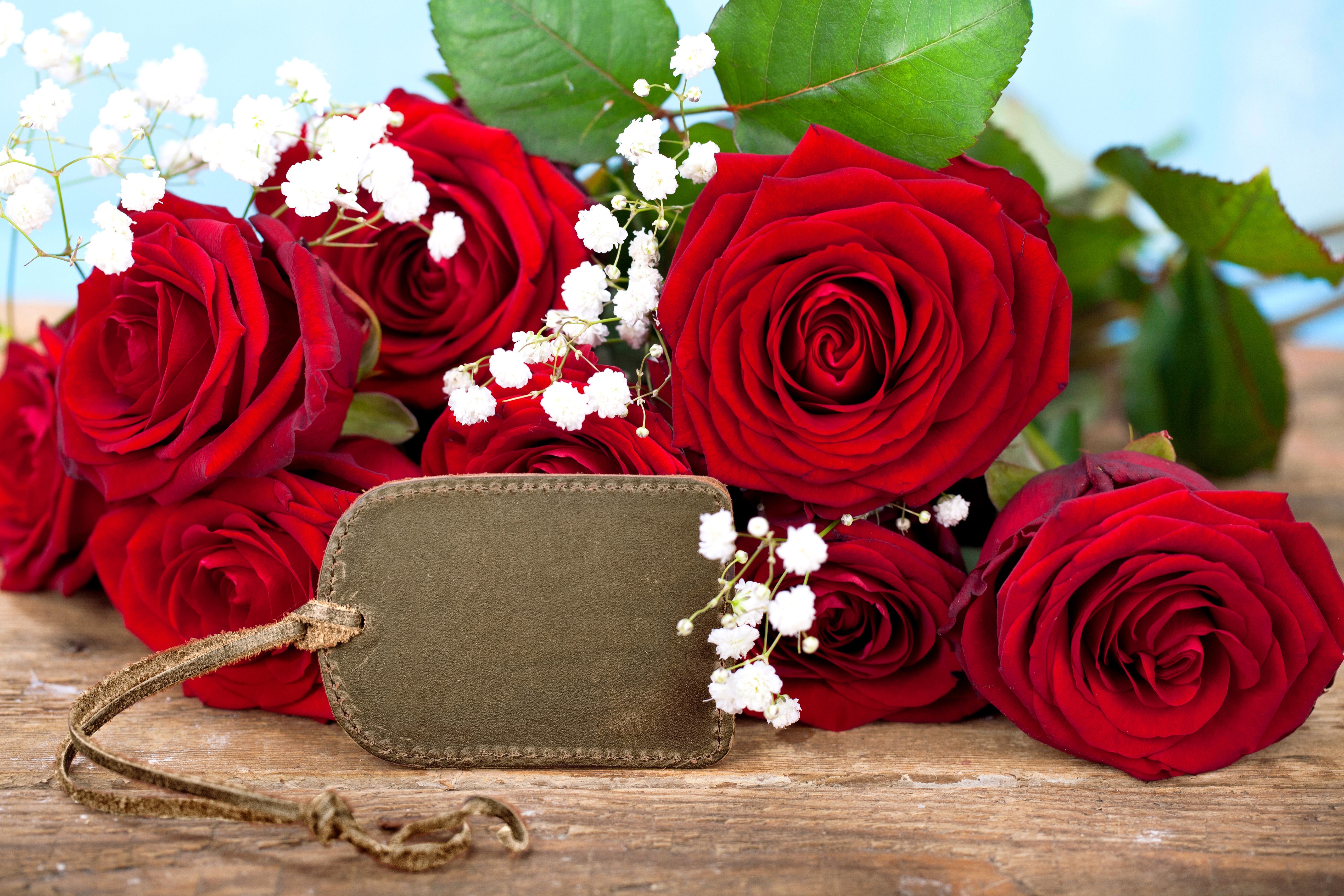 Red Roses with a Tag HD Wallpaper