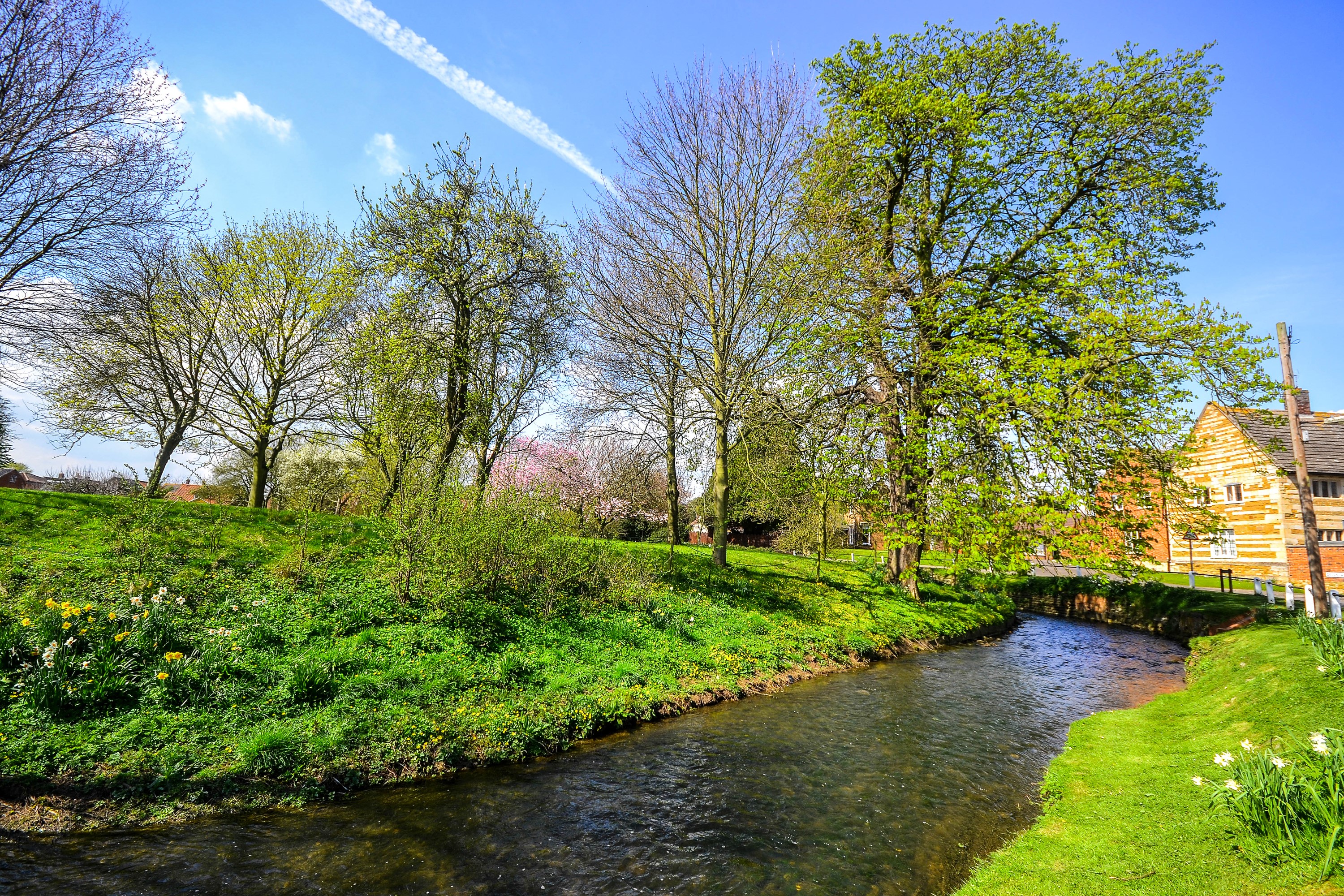 River and trees in Bottesford, Leicestershire, England during Spring HD Wallpaper