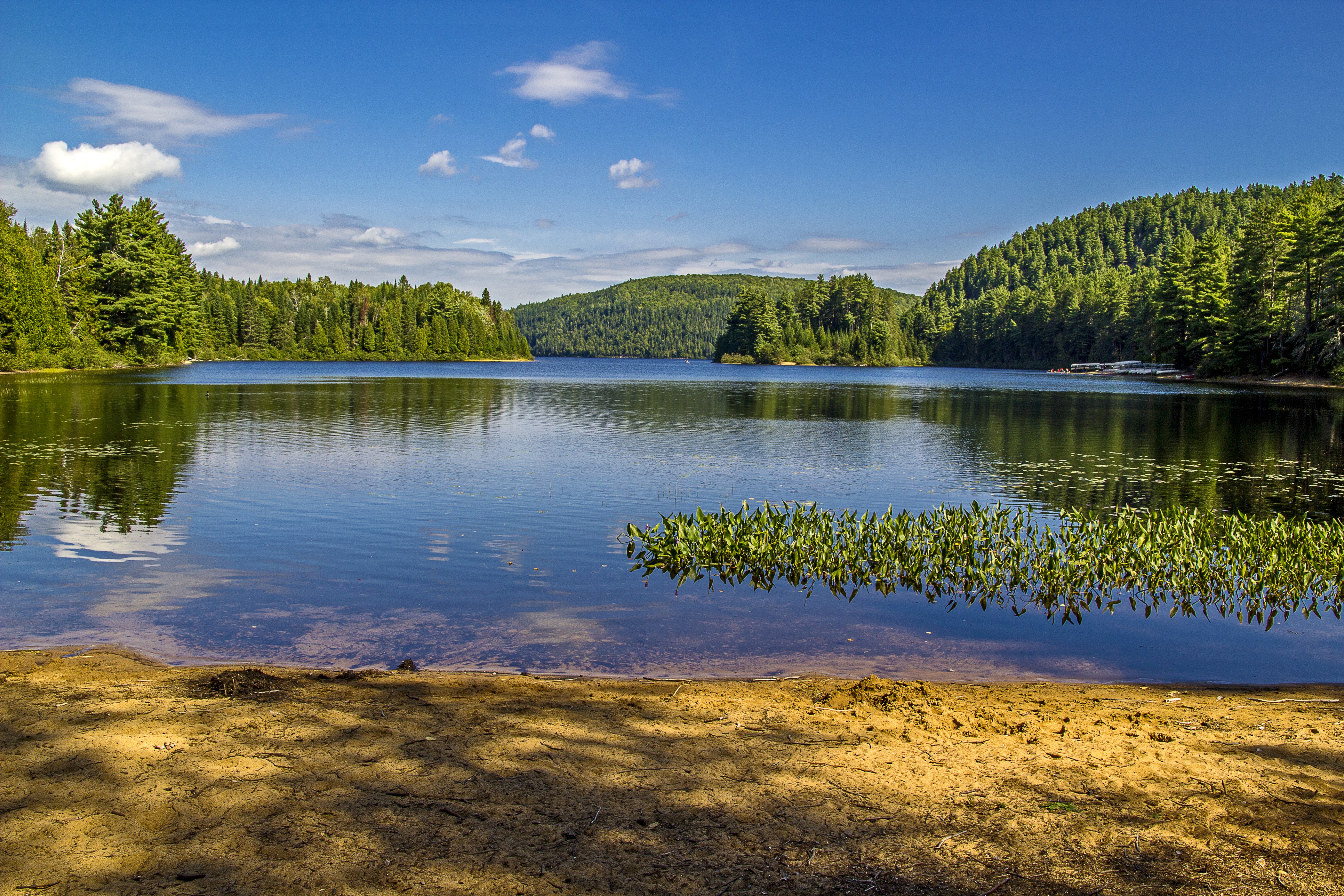 Lake and forest at Mauricie National Park, Quebec, Canada HD Wallpaper