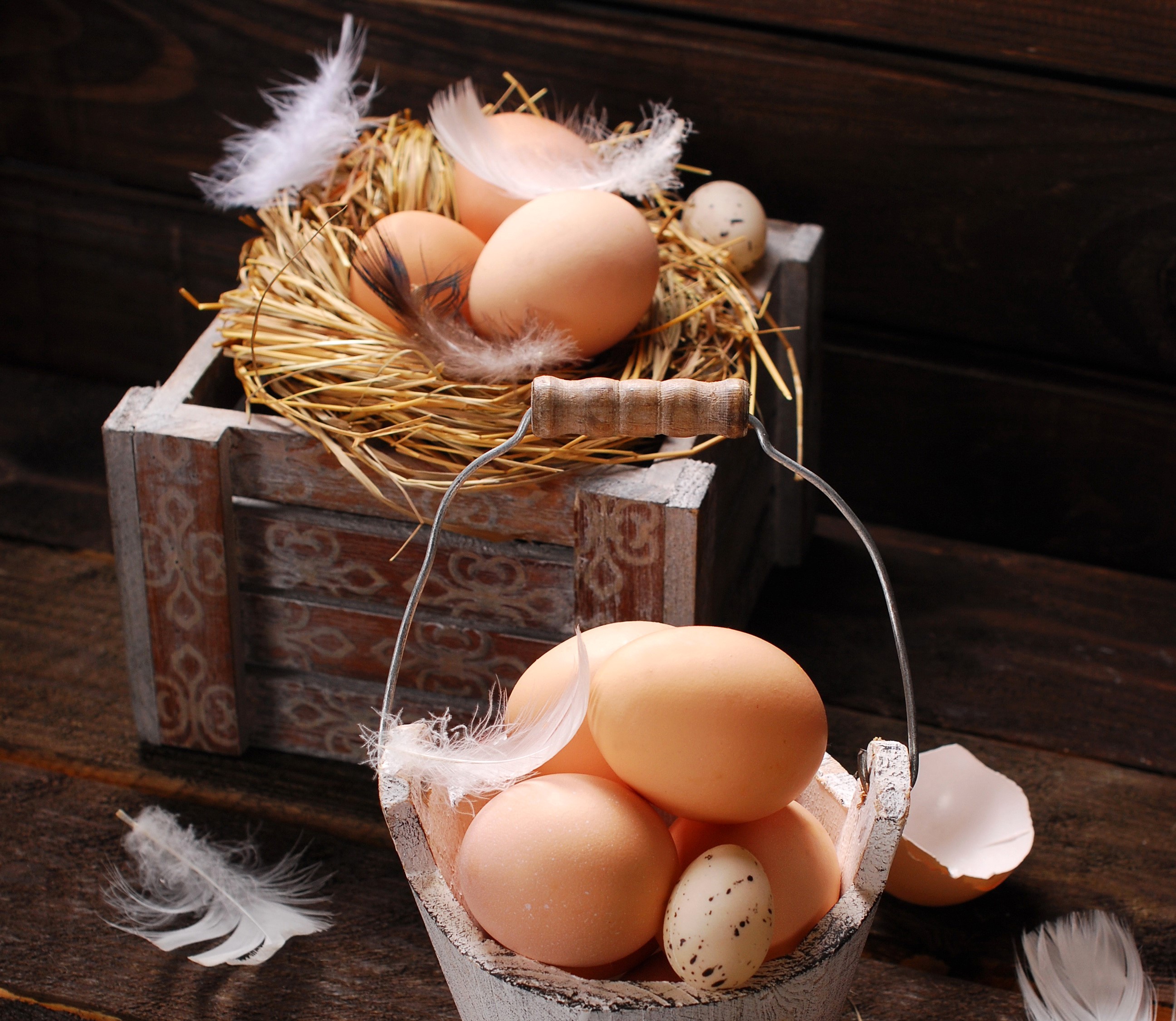 Eggs and feathers in a nest and basket HD Wallpaper