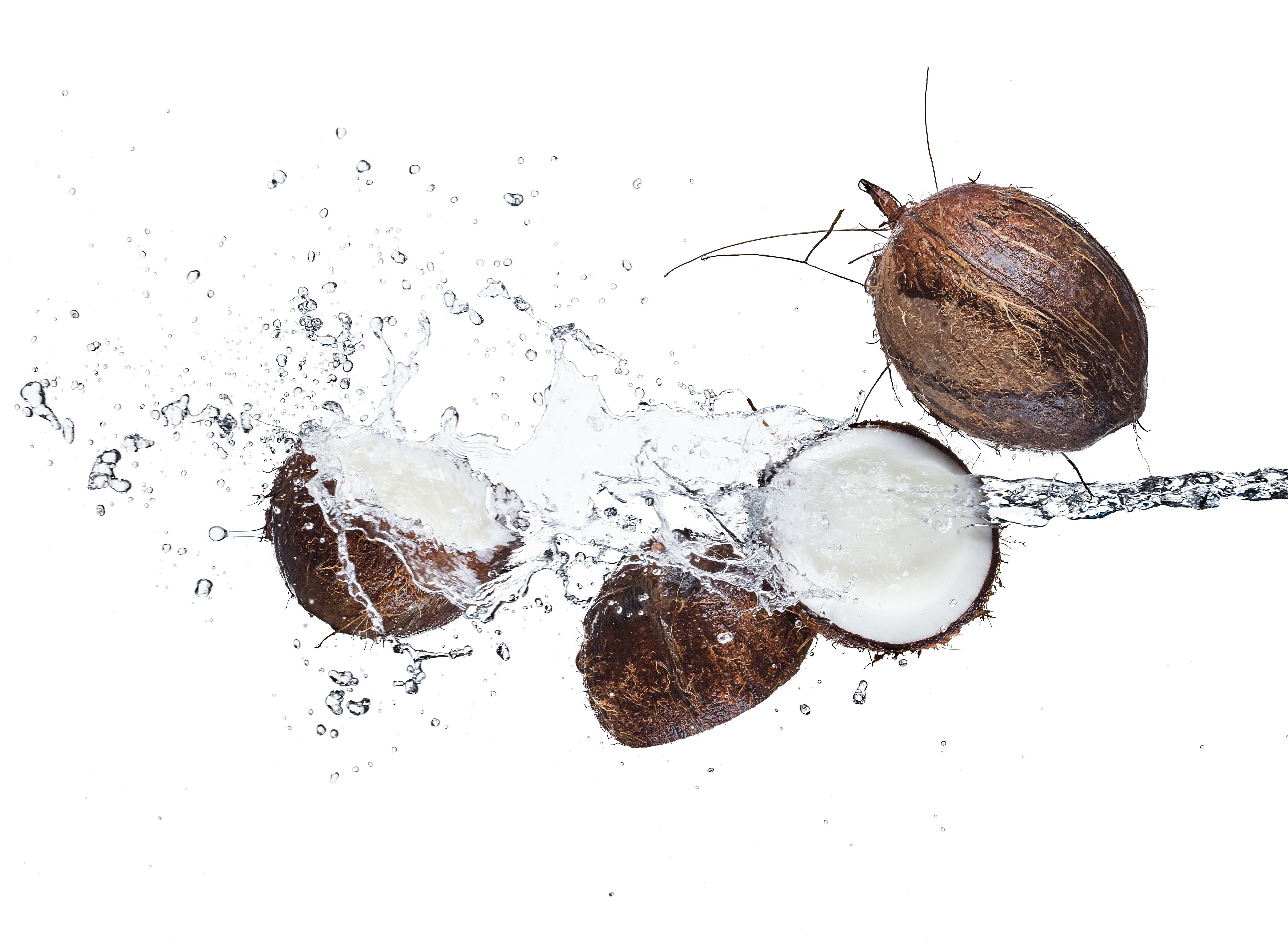 Coconuts splashing in water on white background HD Wallpaper