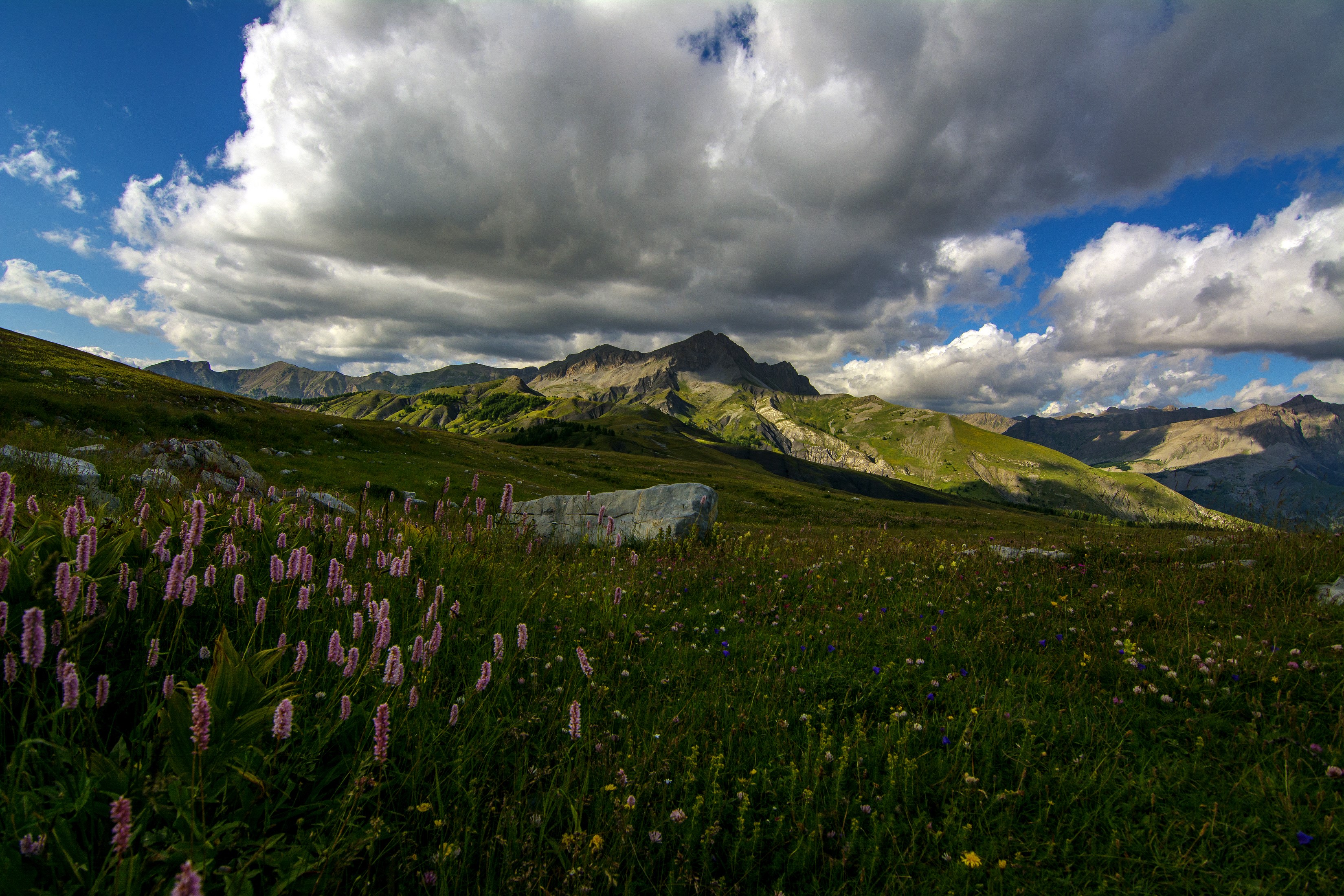 Mountain landscape with flowers and clouds in Colmars, France HD Wallpaper