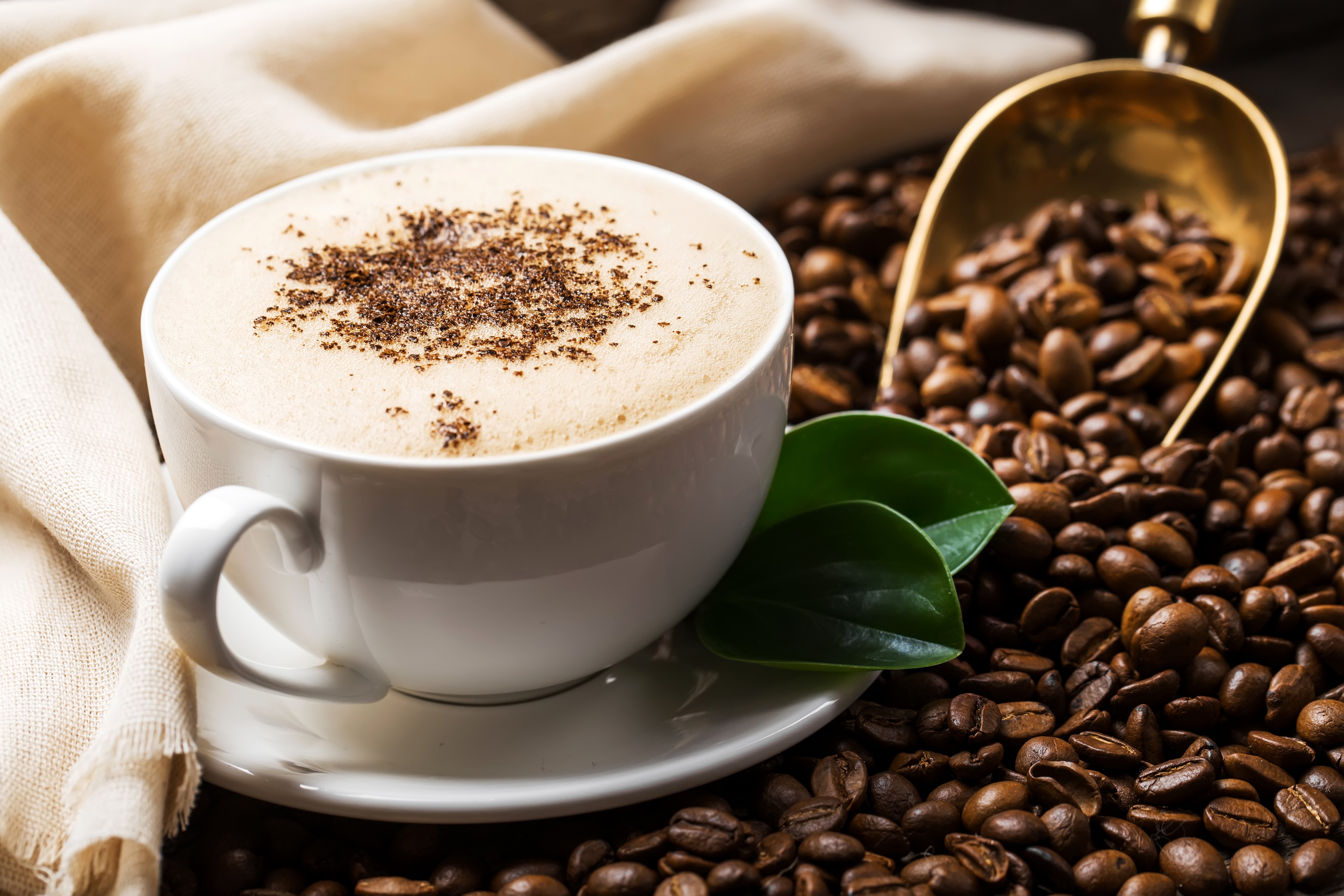 Coffee cup with coffee beans and scoop HD Wallpaper