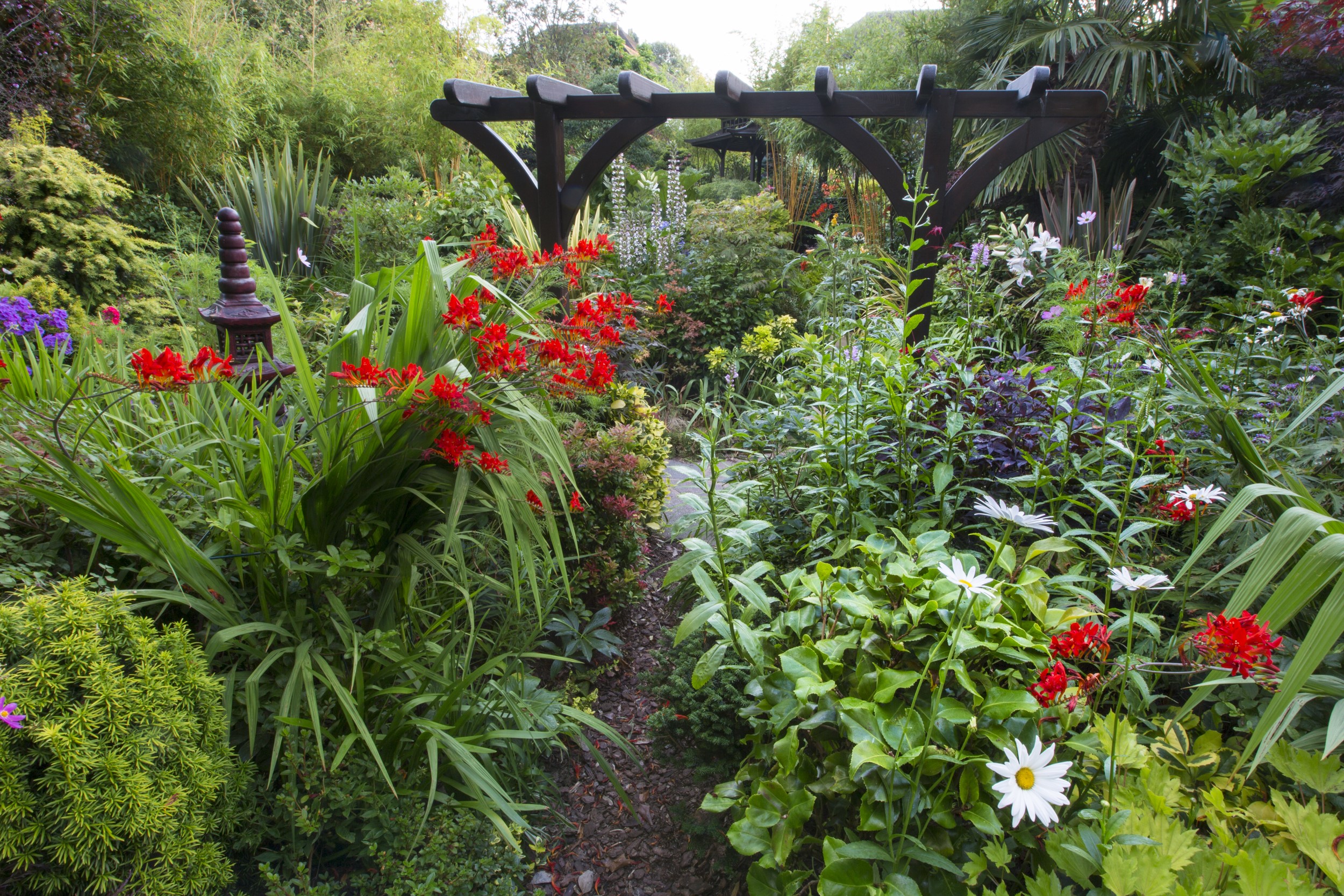 Garden with red flowers and pergola in Walsall, England HD Wallpaper