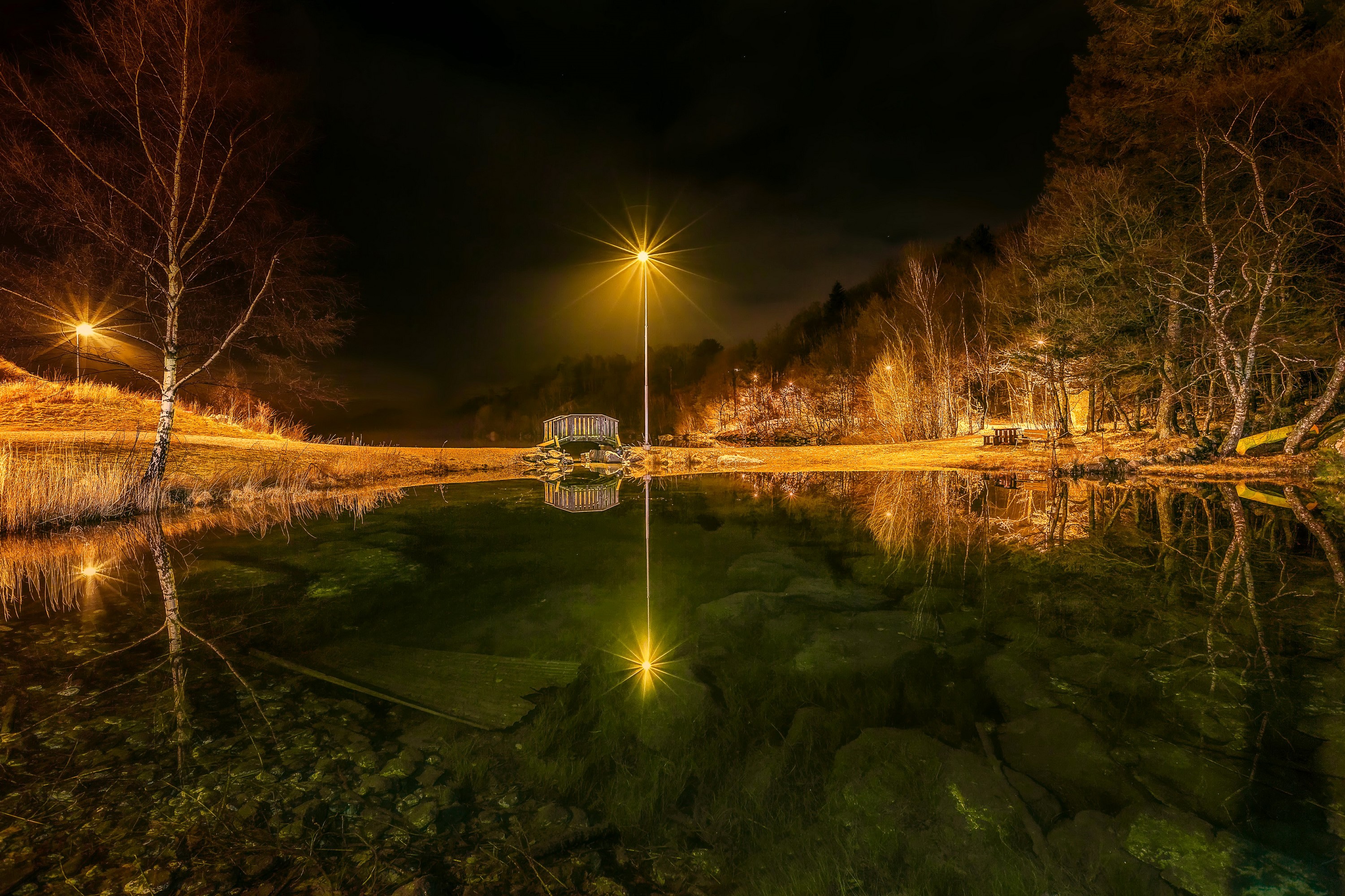 Lake and trees at night with street lights in Egersund, Norway HD Wallpaper