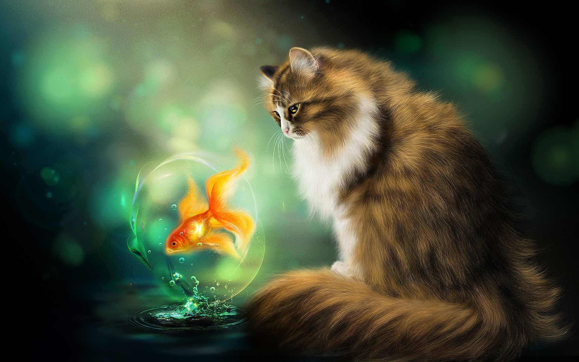 Cat looking at a goldfish in a bubble HD Wallpaper