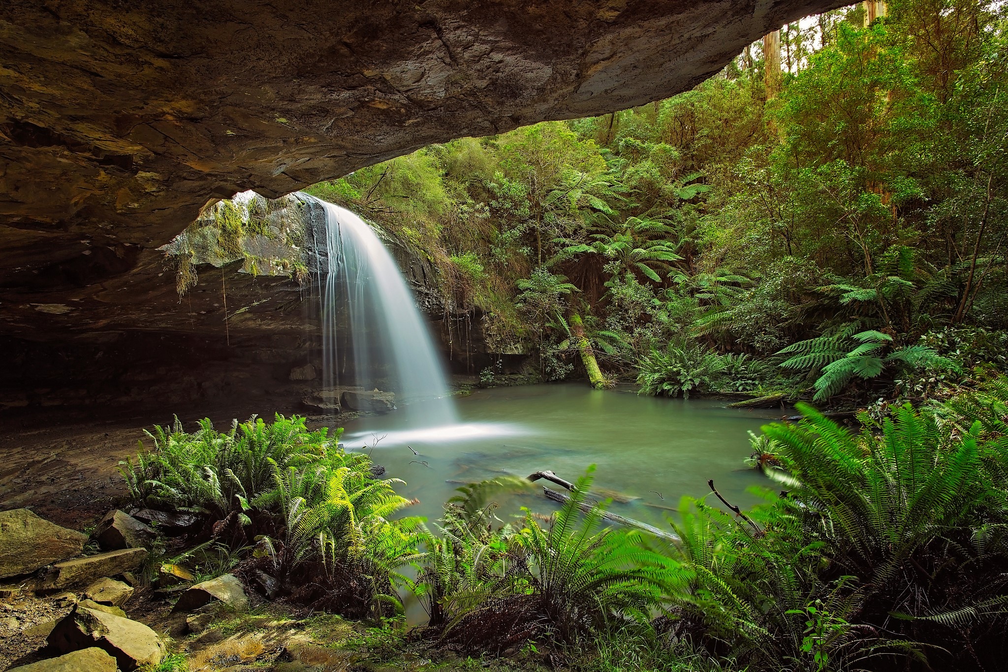Waterfall cascading from a cave into a forest pool HD Wallpaper