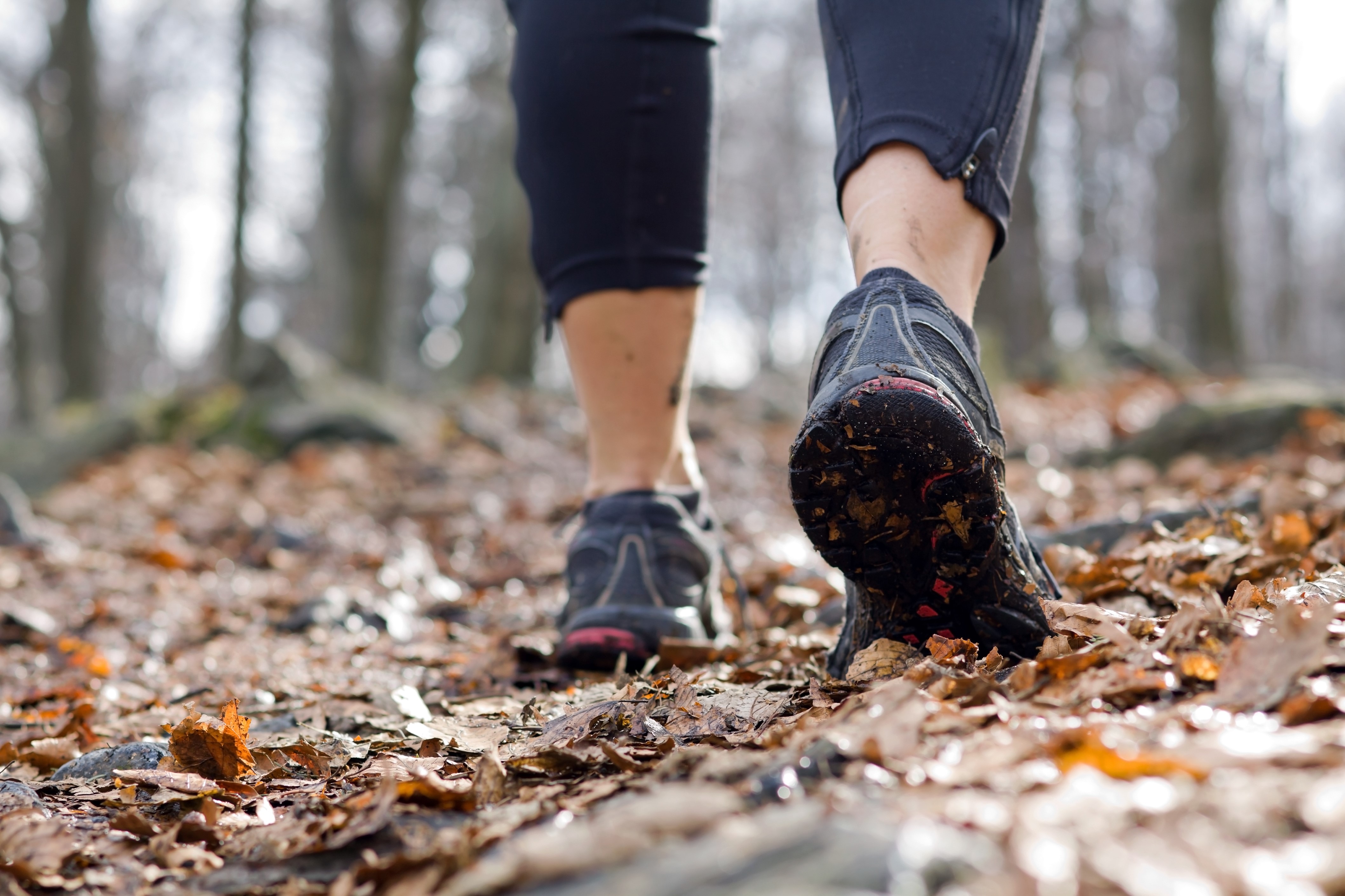 Legs walking on fallen leaves HD Wallpaper