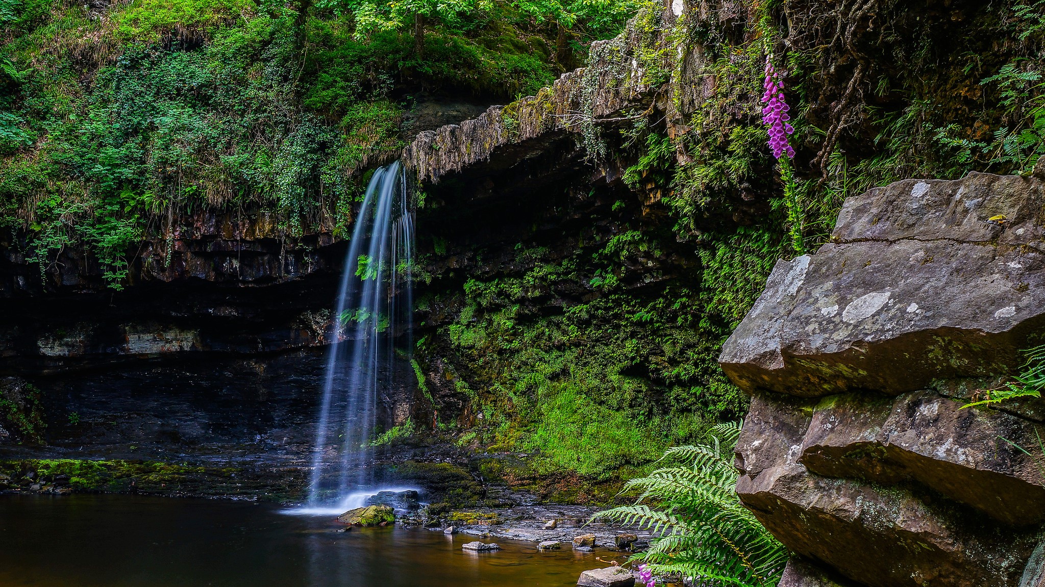 Waterfall cascading over a mossy crag into a pool HD Wallpaper