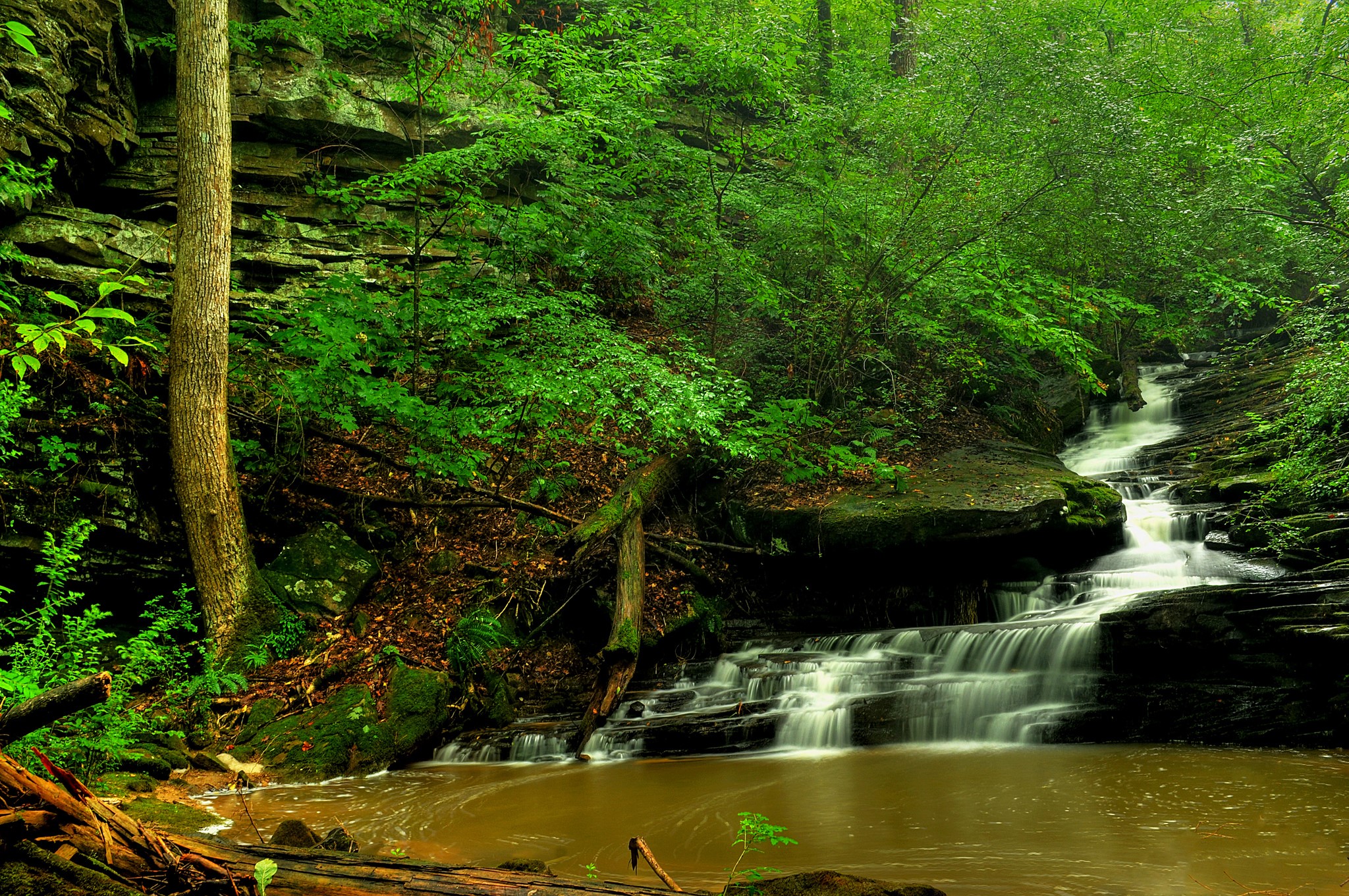 Waterfall cascading through a lush green forest HD Wallpaper
