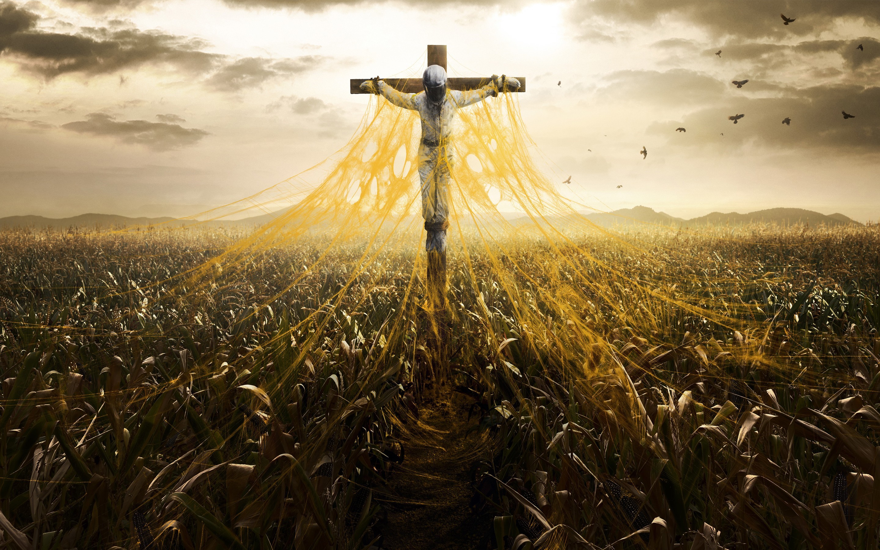 Figure on a cross in a cornfield HD Wallpaper