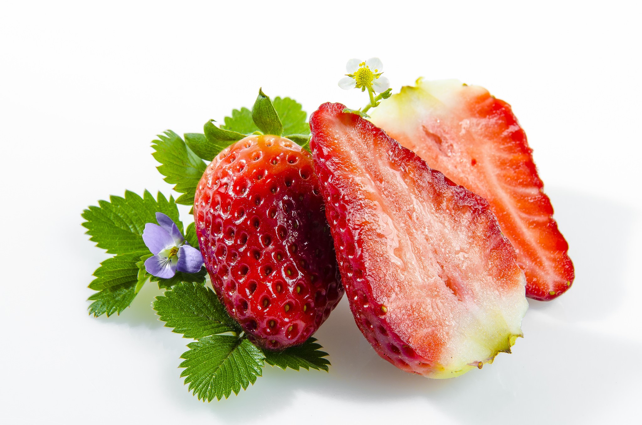 Strawberry with leaves and flowers on white background HD Wallpaper