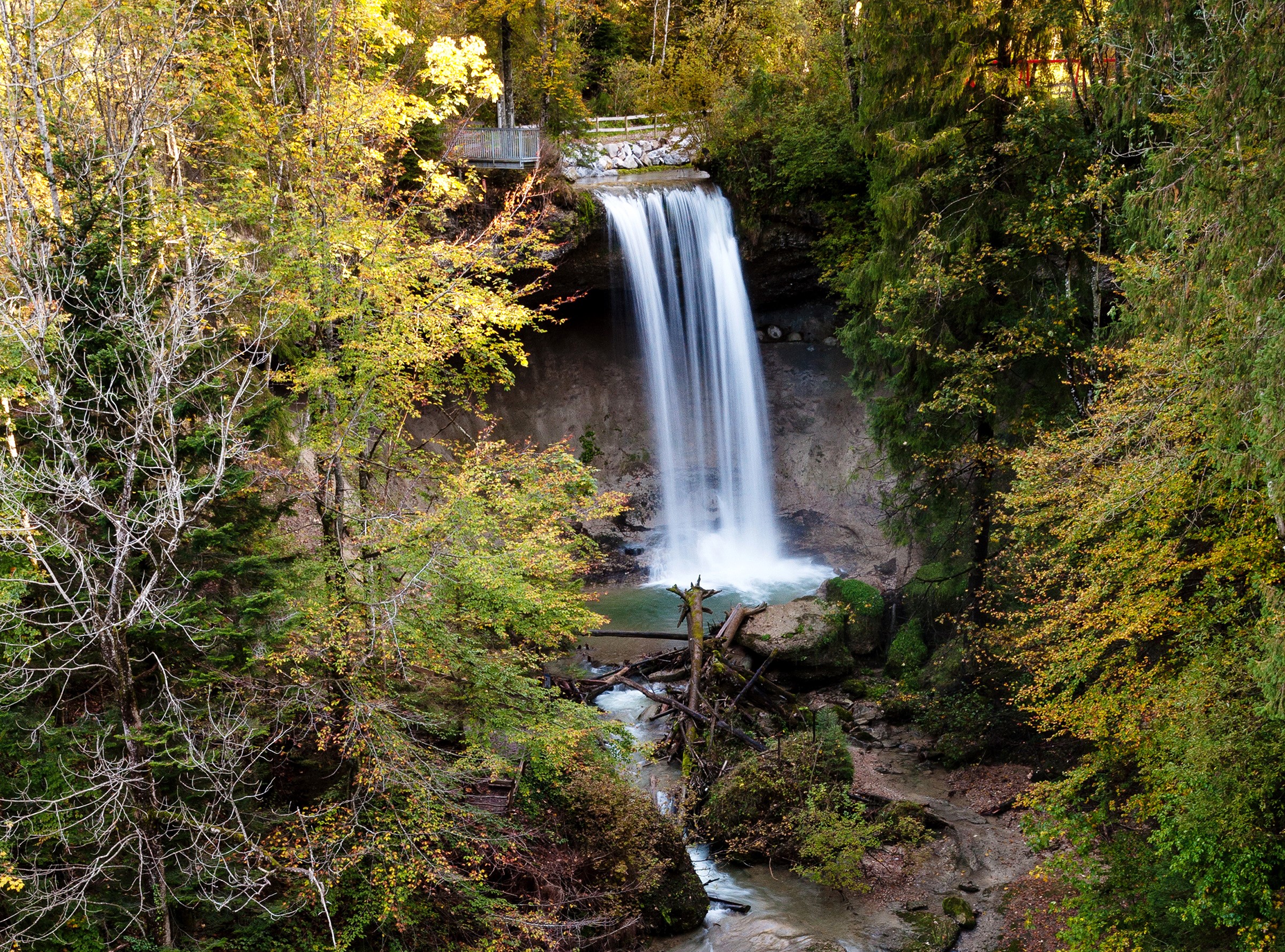 Waterfall in a forest during autumn HD Wallpaper