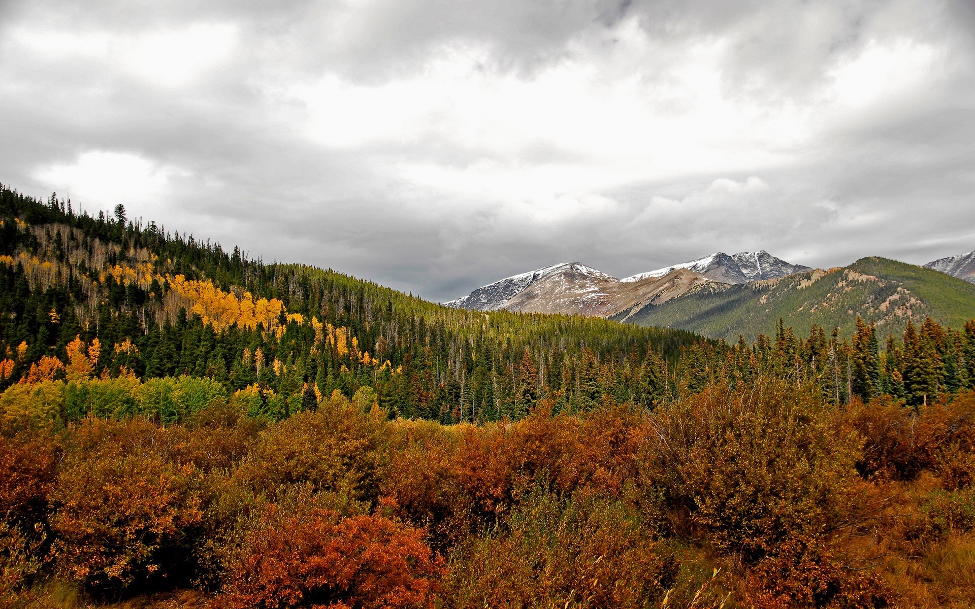 Autumn mountain landscape with colorful trees and snow-capped peaks HD Wallpaper