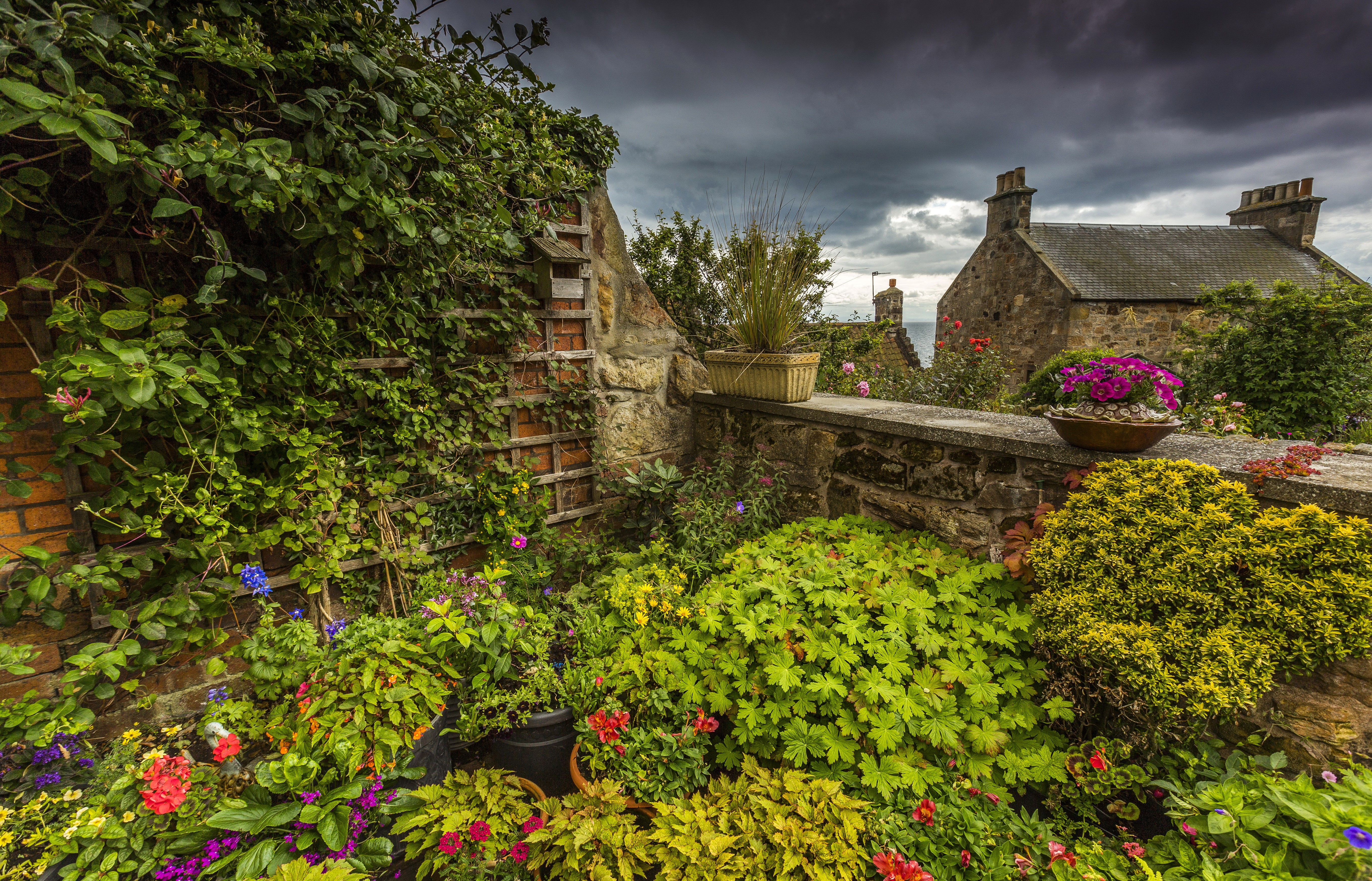 Pitenweem Scotland Gardens HD Wallpaper