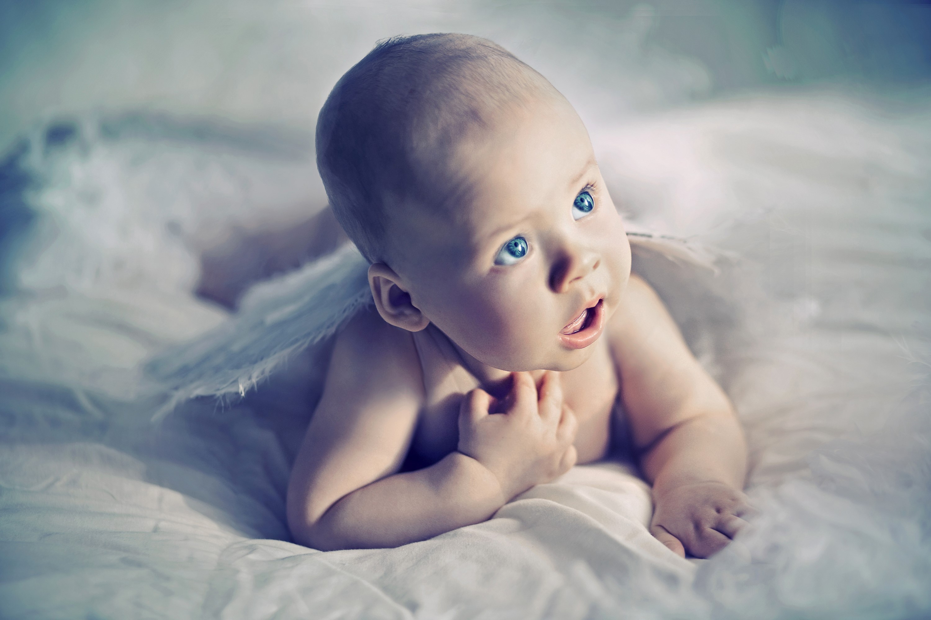 Baby with angel wings looking up HD Wallpaper