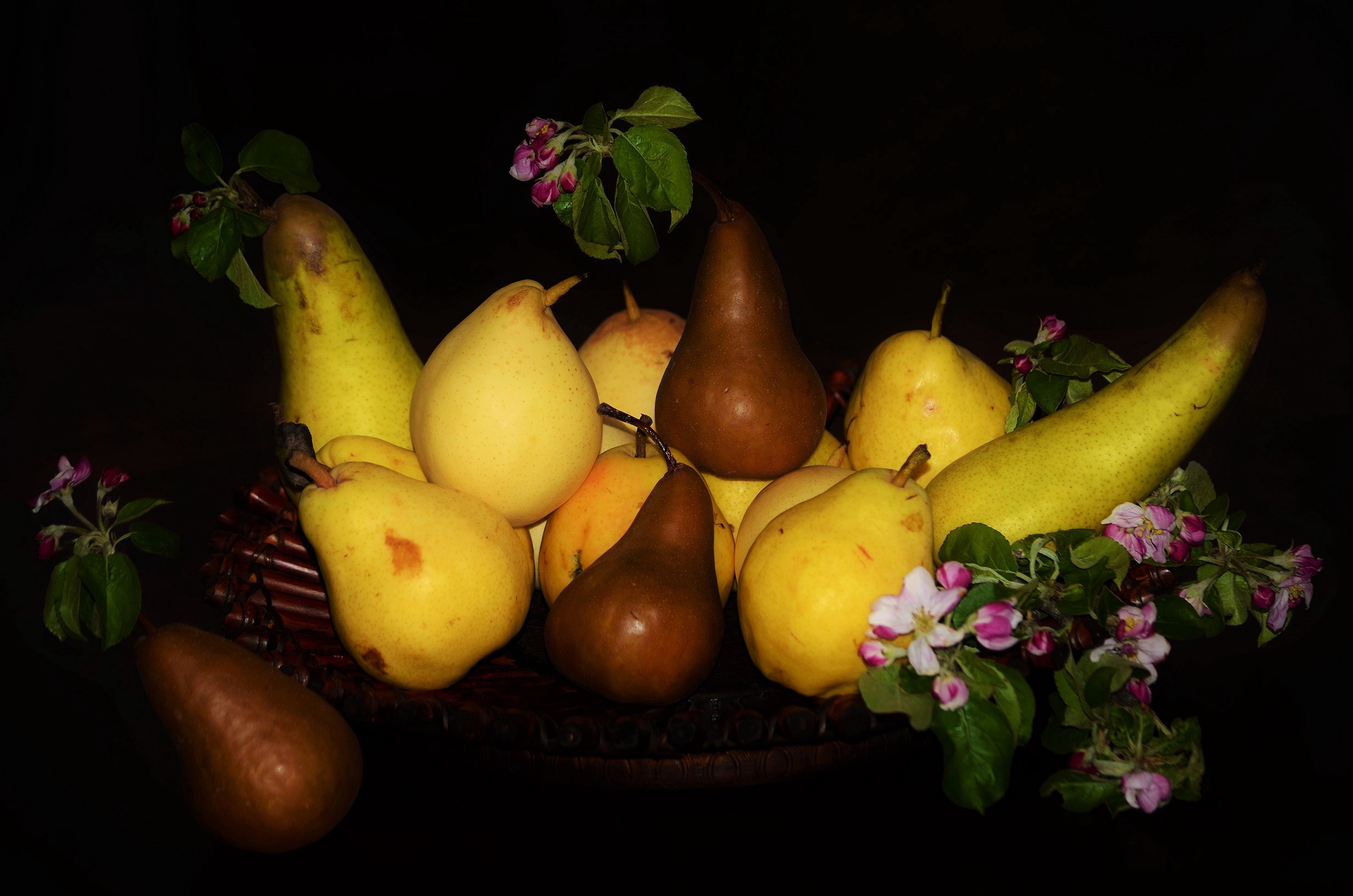 Pears and flowering branches in a basket HD Wallpaper