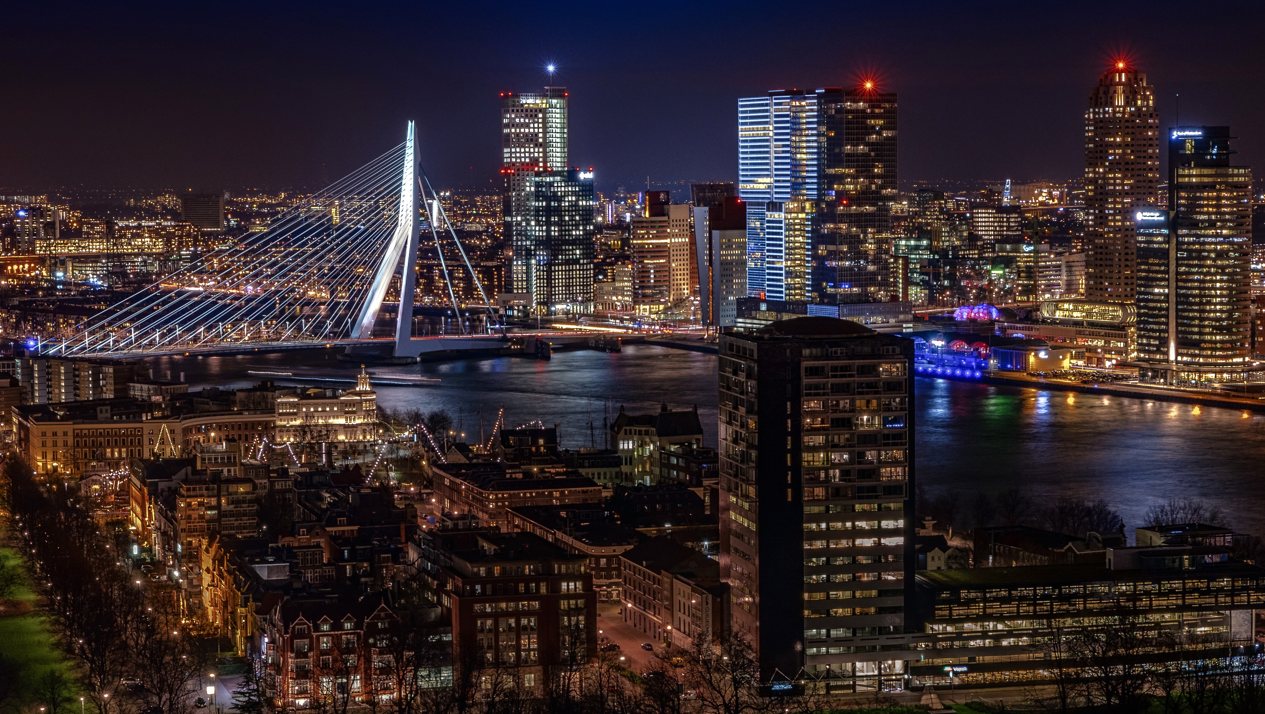 Rotterdam cityscape with Erasmus Bridge at night HD Wallpaper